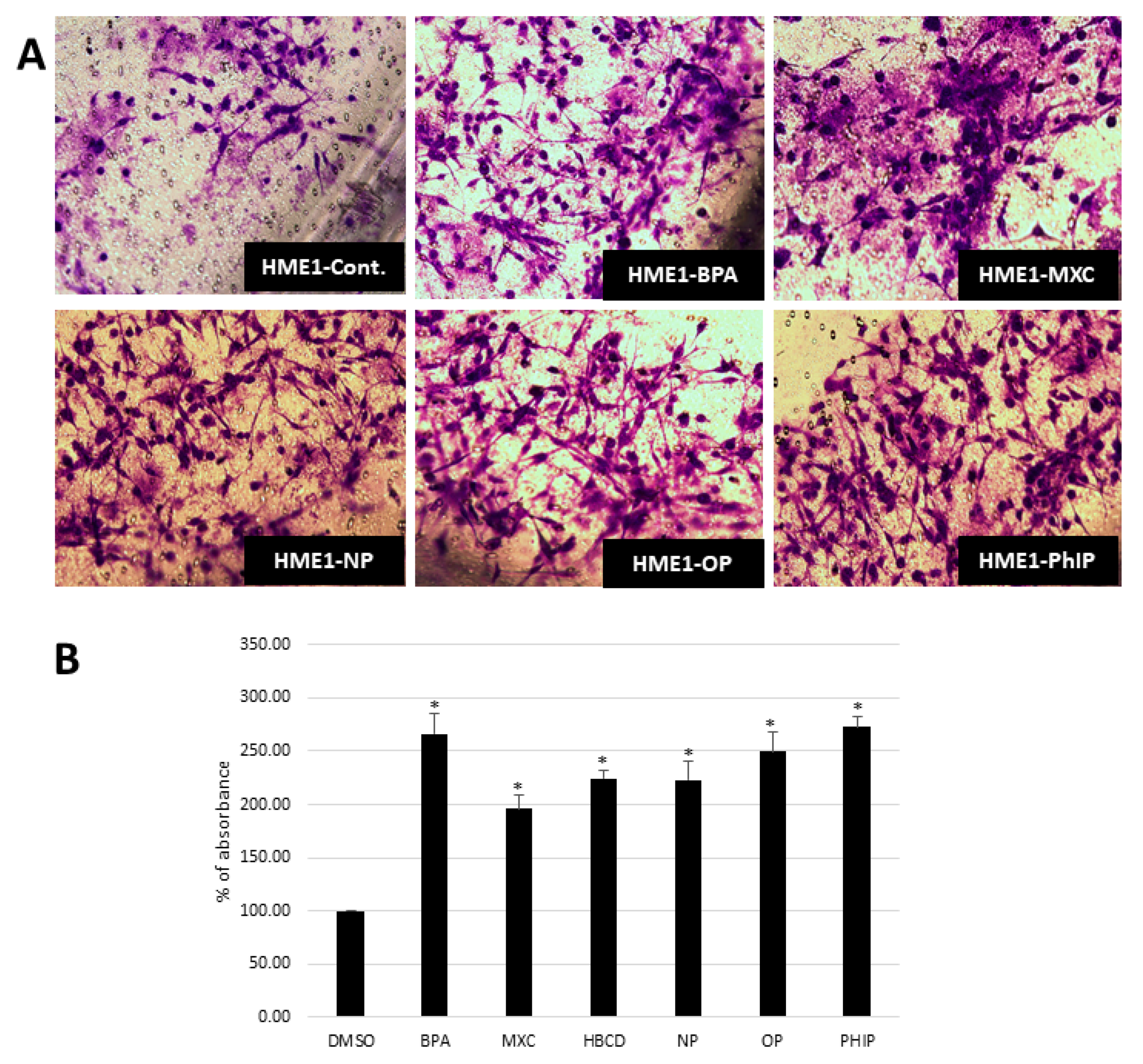 Ijms 21 03735 g003 Ijms 21 03735 g003