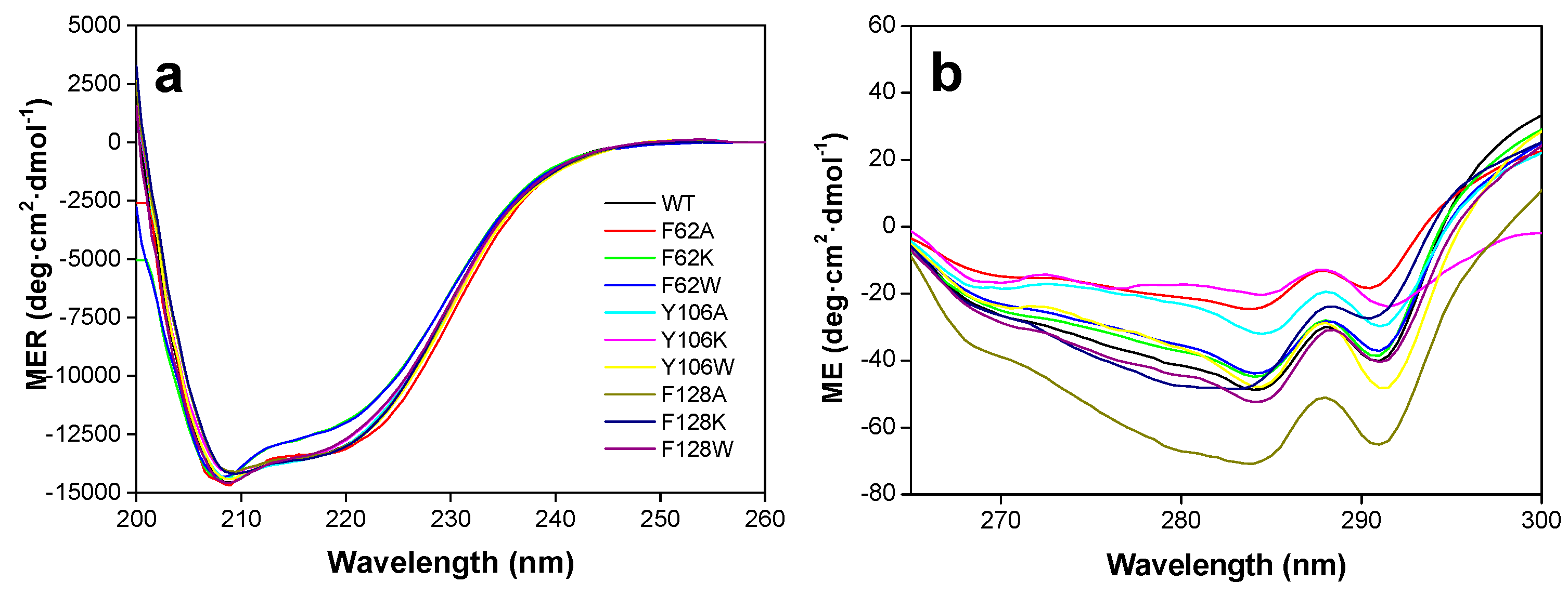 Ijms 21 03738 g003 Ijms 21 03738 g003