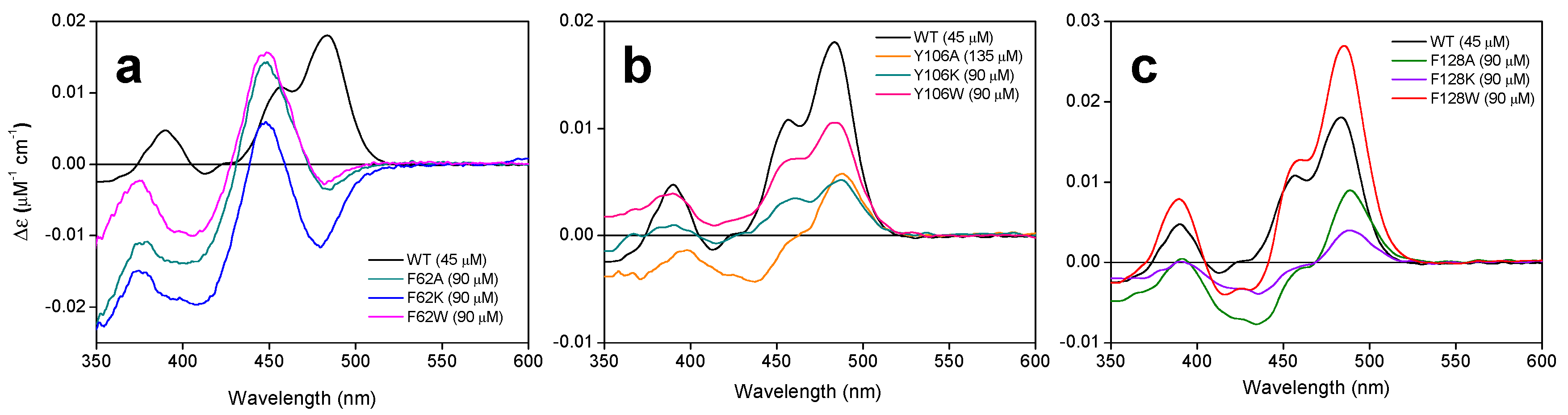 Ijms 21 03738 g005 Ijms 21 03738 g005