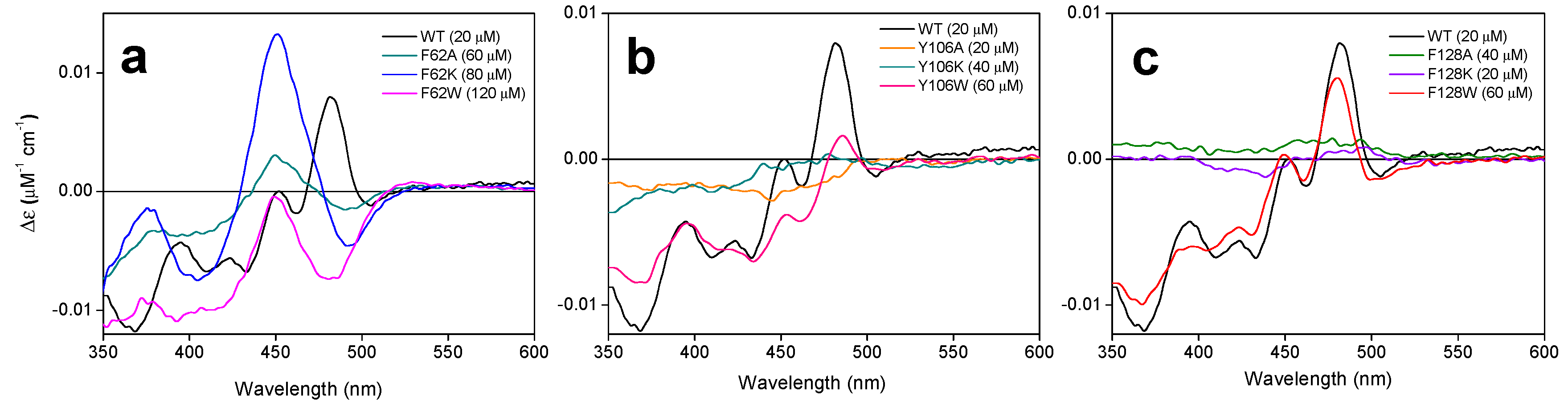 Ijms 21 03738 g006 Ijms 21 03738 g006