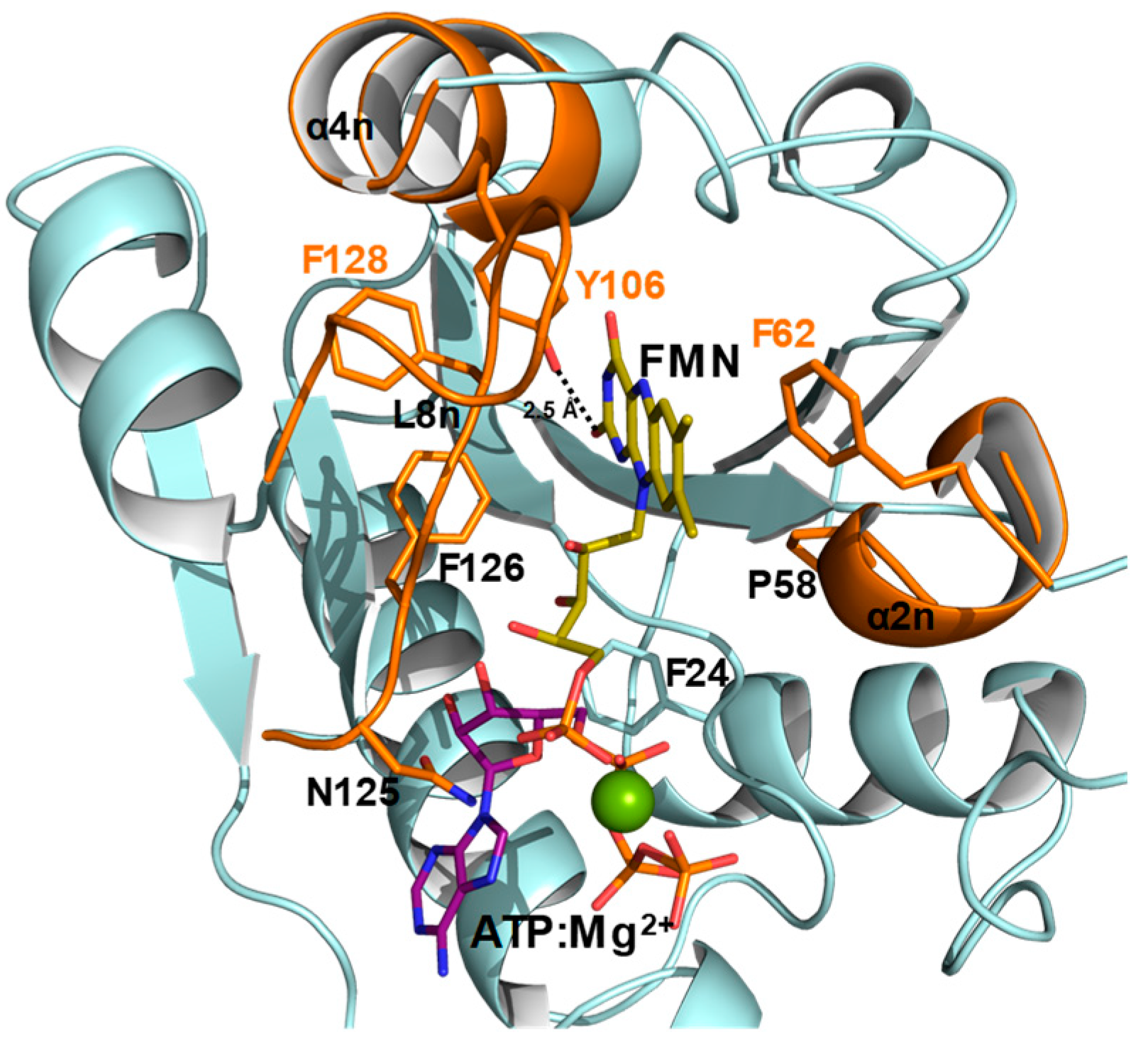 Ijms 21 03738 g008 Ijms 21 03738 g008