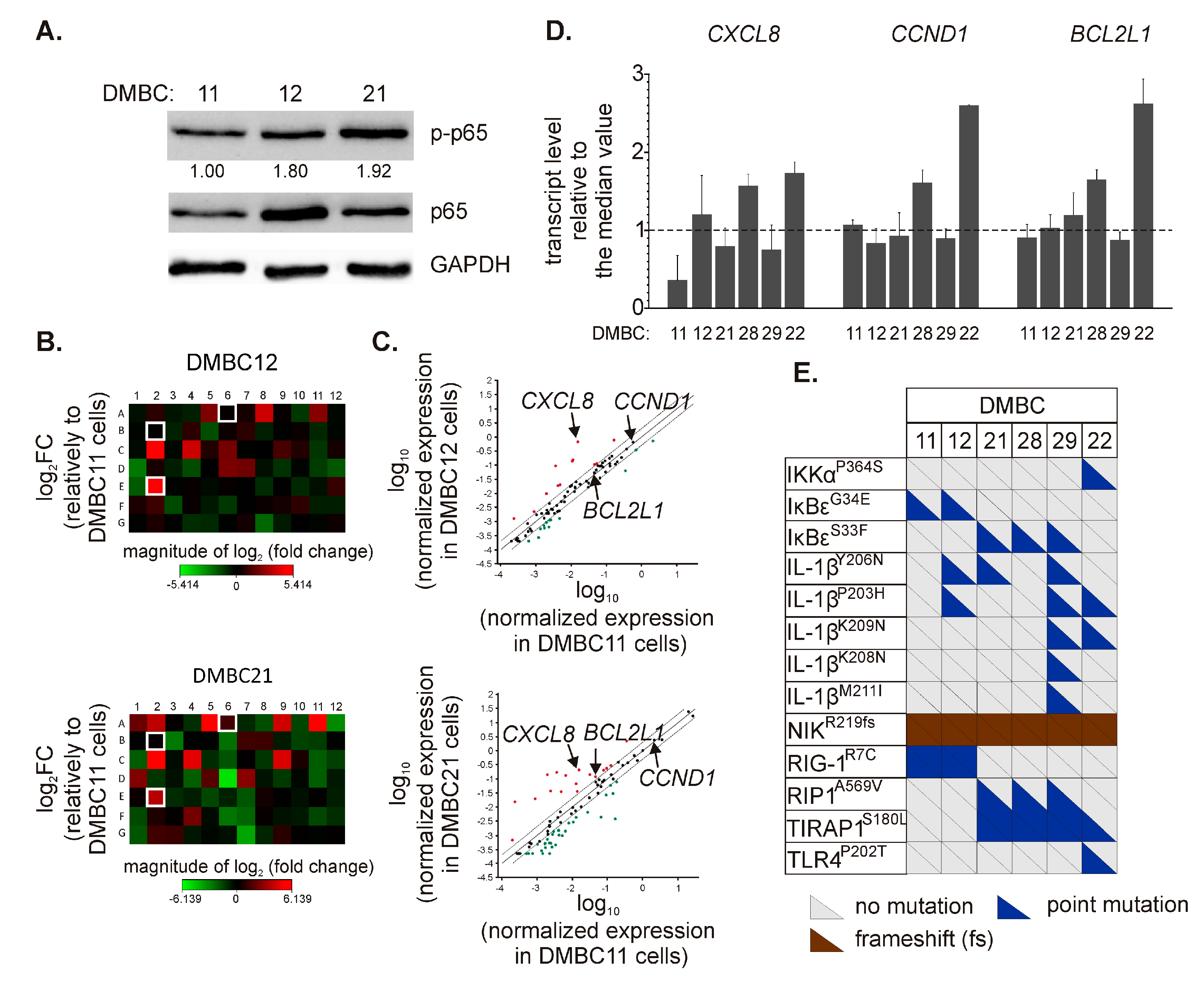 Ijms 21 03749 g001 Ijms 21 03749 g001