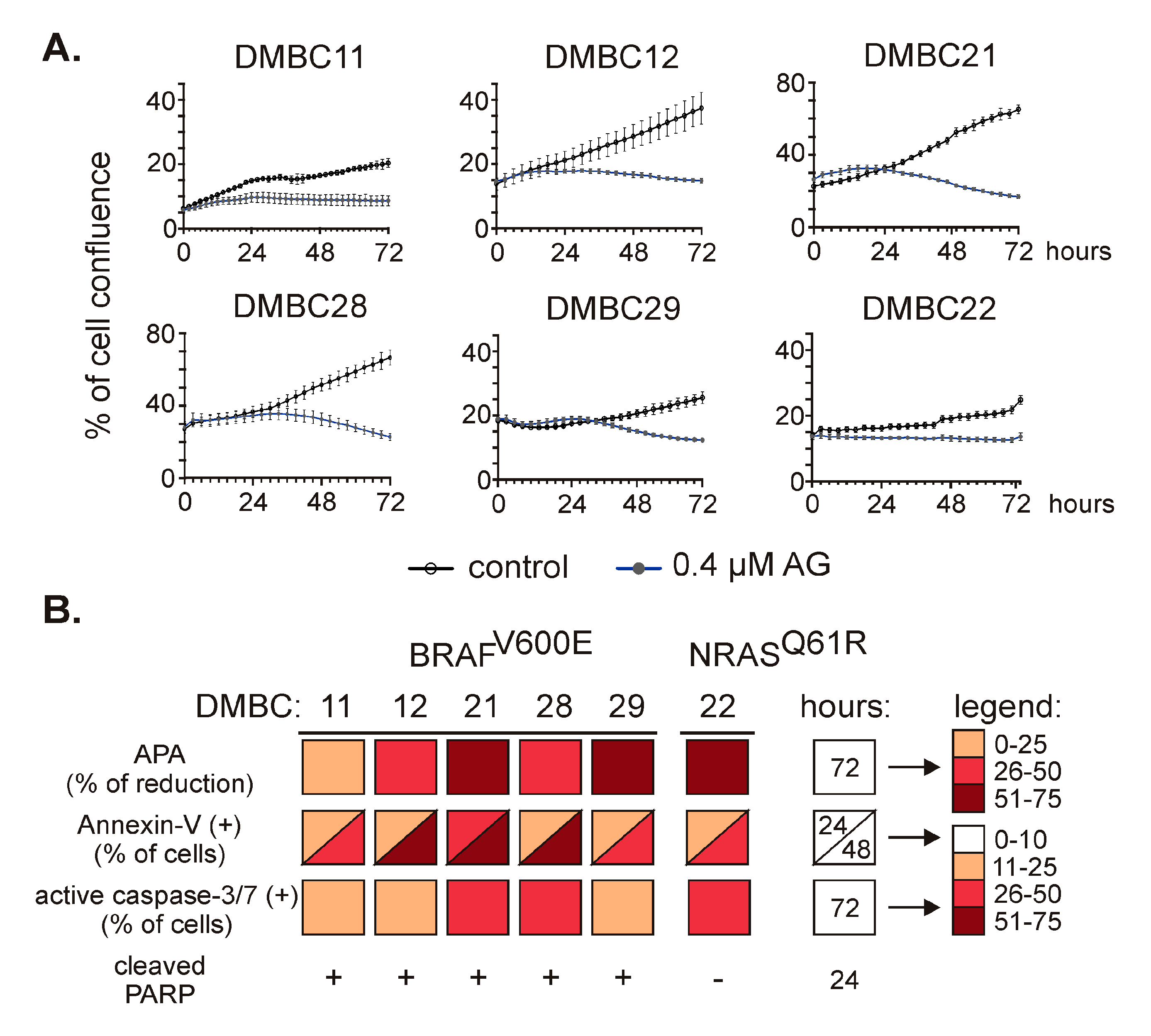 Ijms 21 03749 g002 Ijms 21 03749 g002