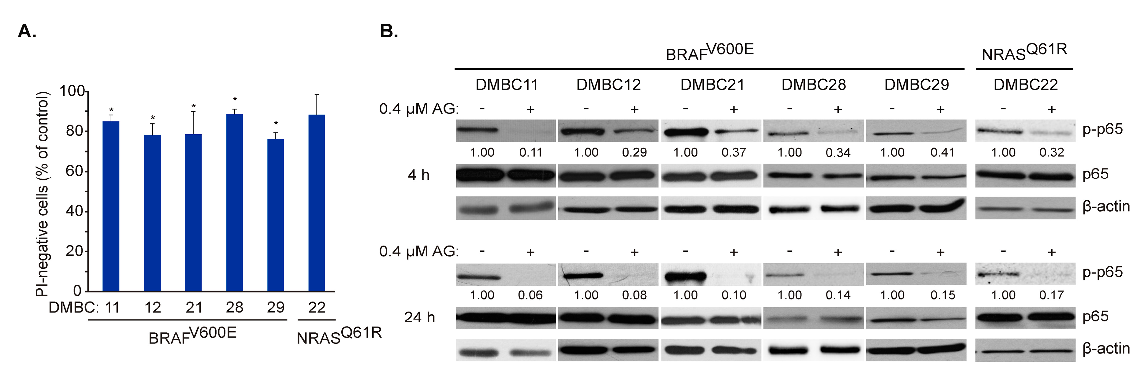 Ijms 21 03749 g003 Ijms 21 03749 g003