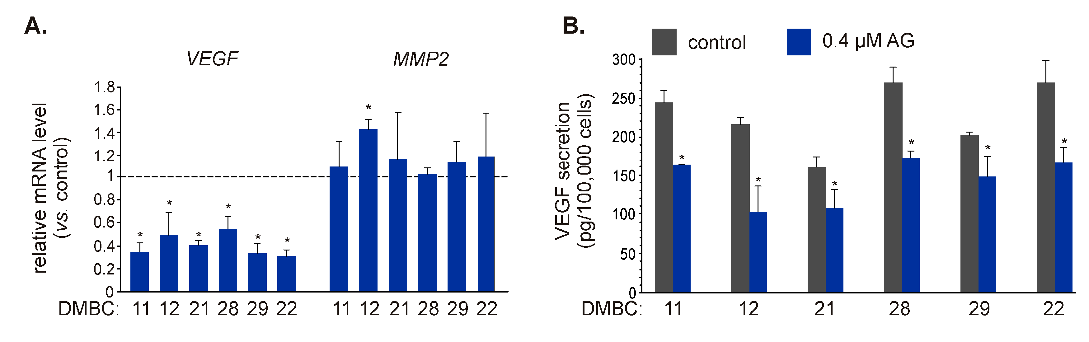 Ijms 21 03749 g005 Ijms 21 03749 g005