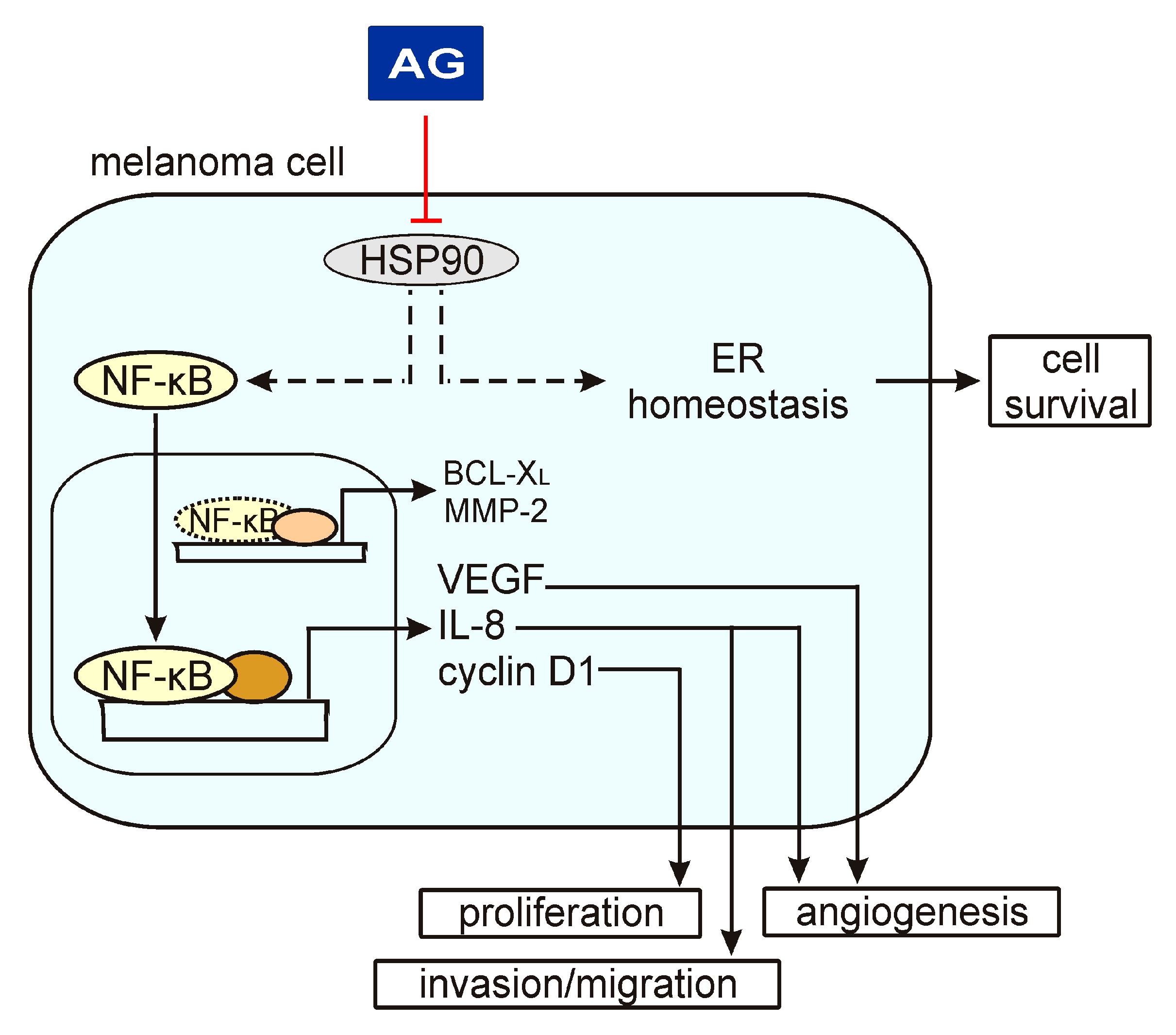 Ijms 21 03749 g006 Ijms 21 03749 g006