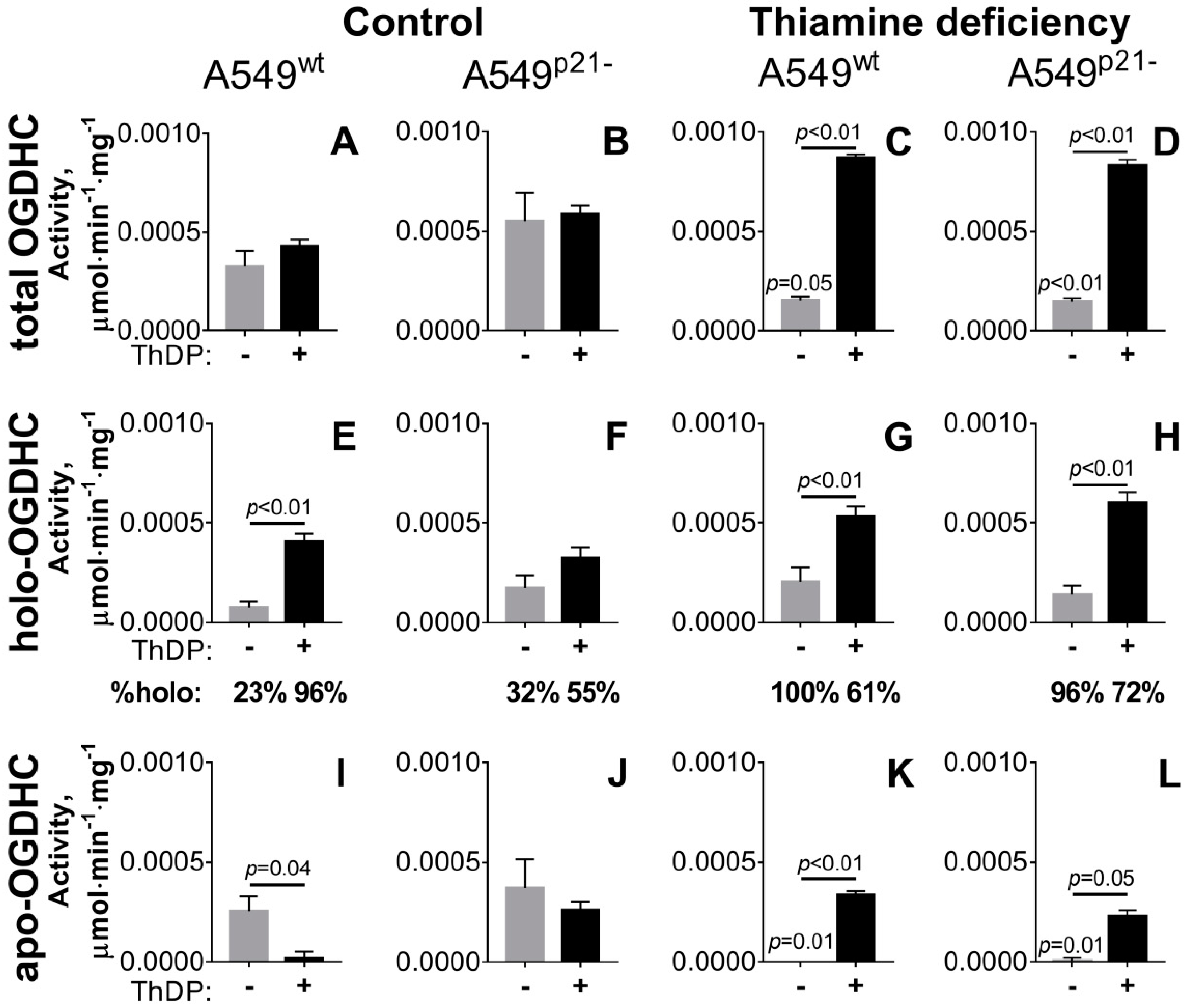 Ijms 21 03759 g001 Ijms 21 03759 g001