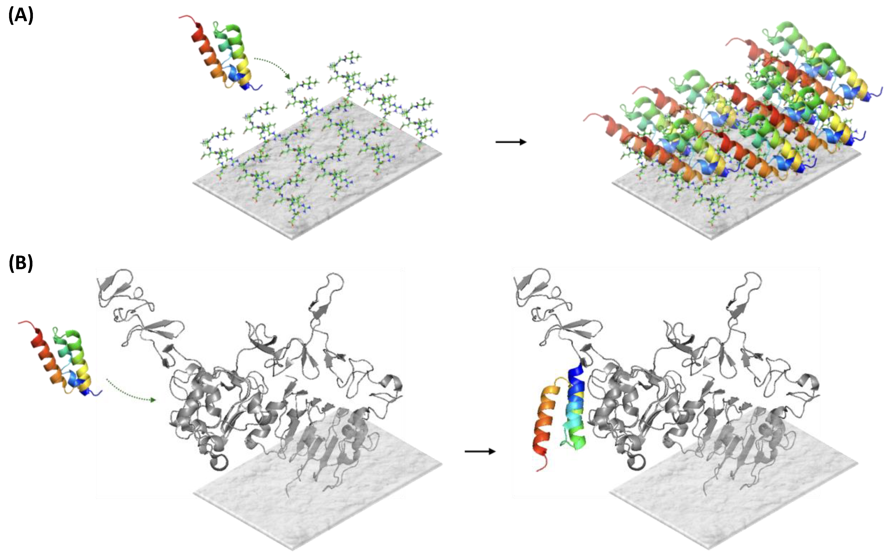 Ijms 21 03769 g0a3 Ijms 21 03769 g0a3