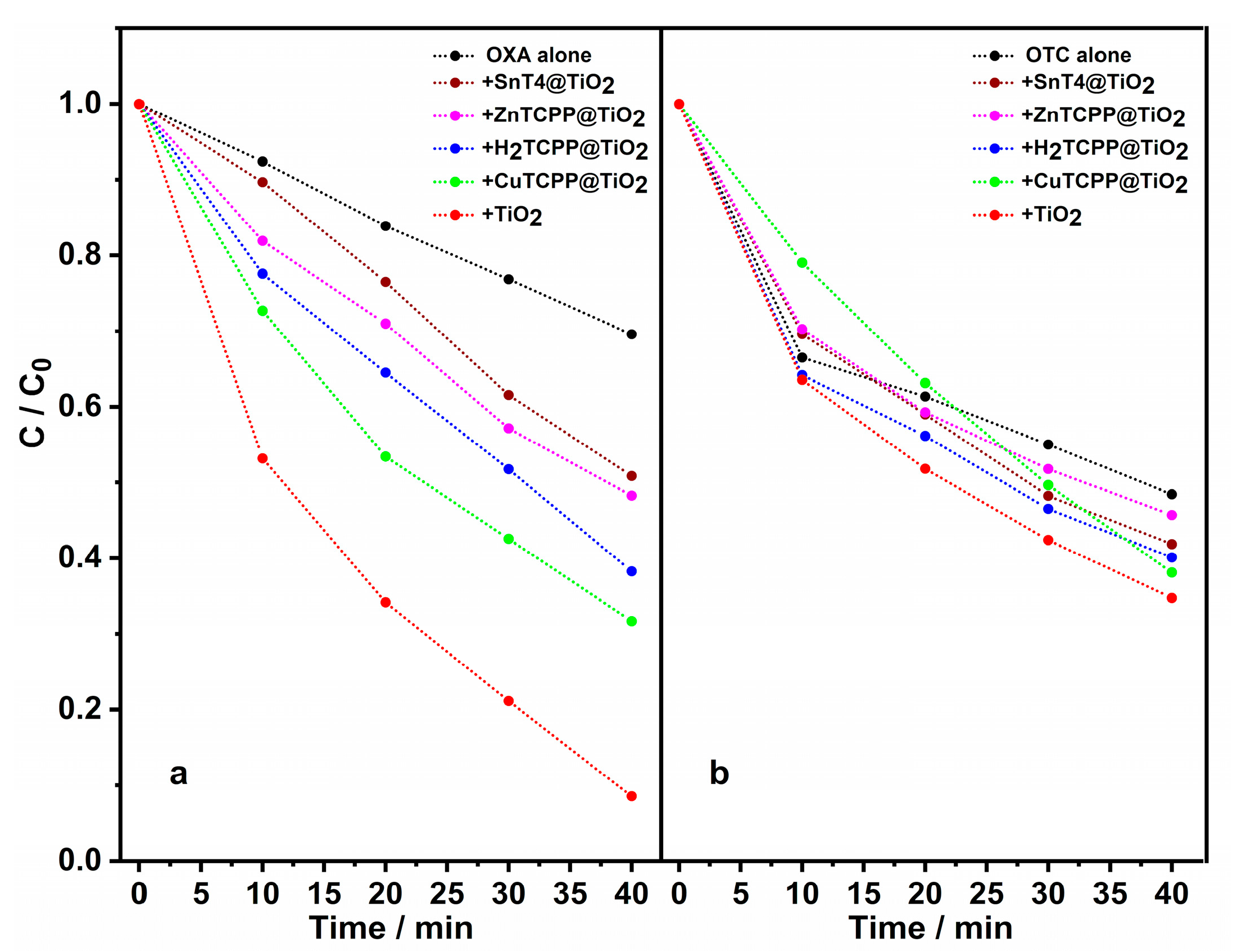 Ijms 21 03775 g004 Ijms 21 03775 g004