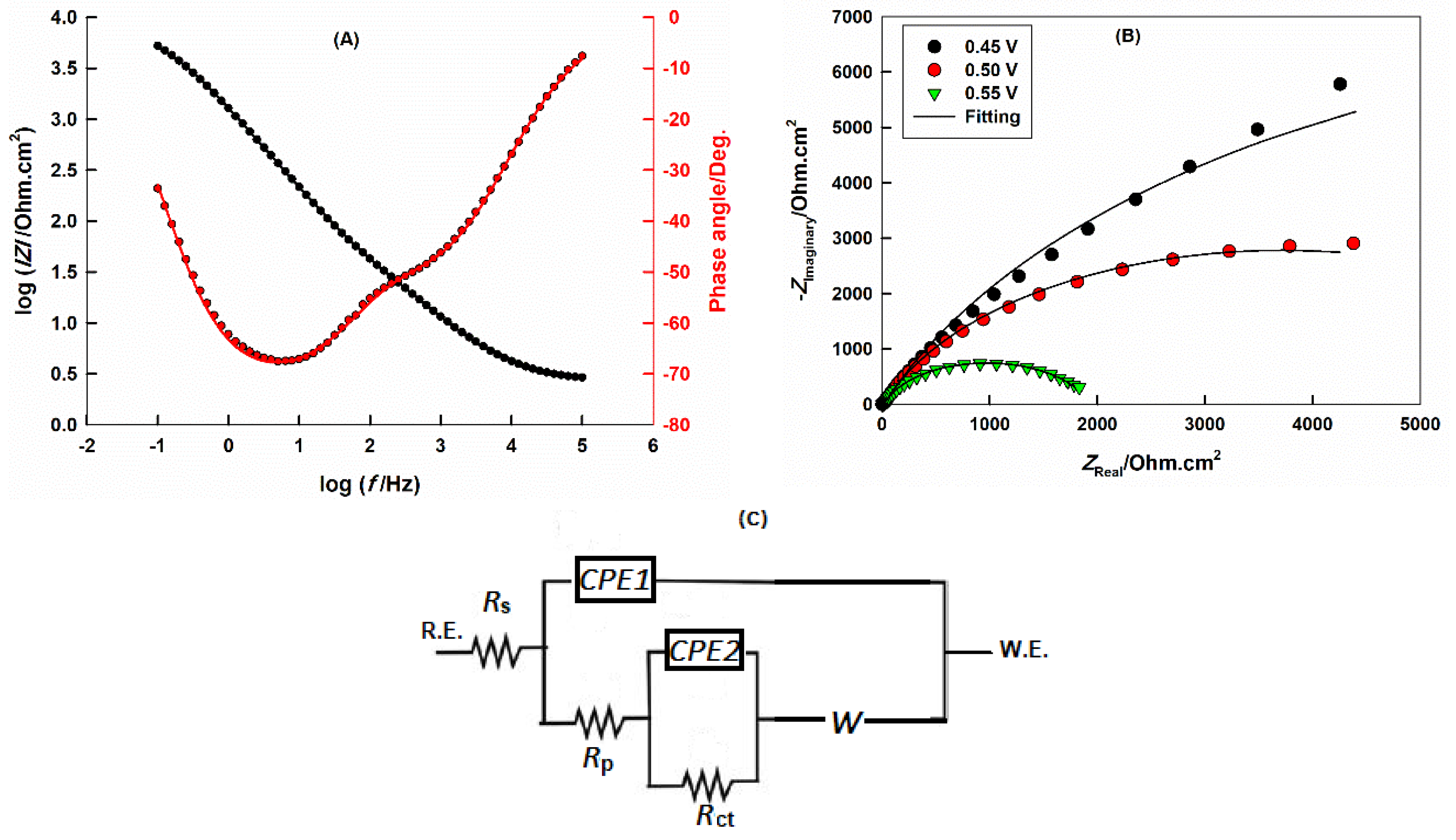 Ijms 21 03785 g006 Ijms 21 03785 g006