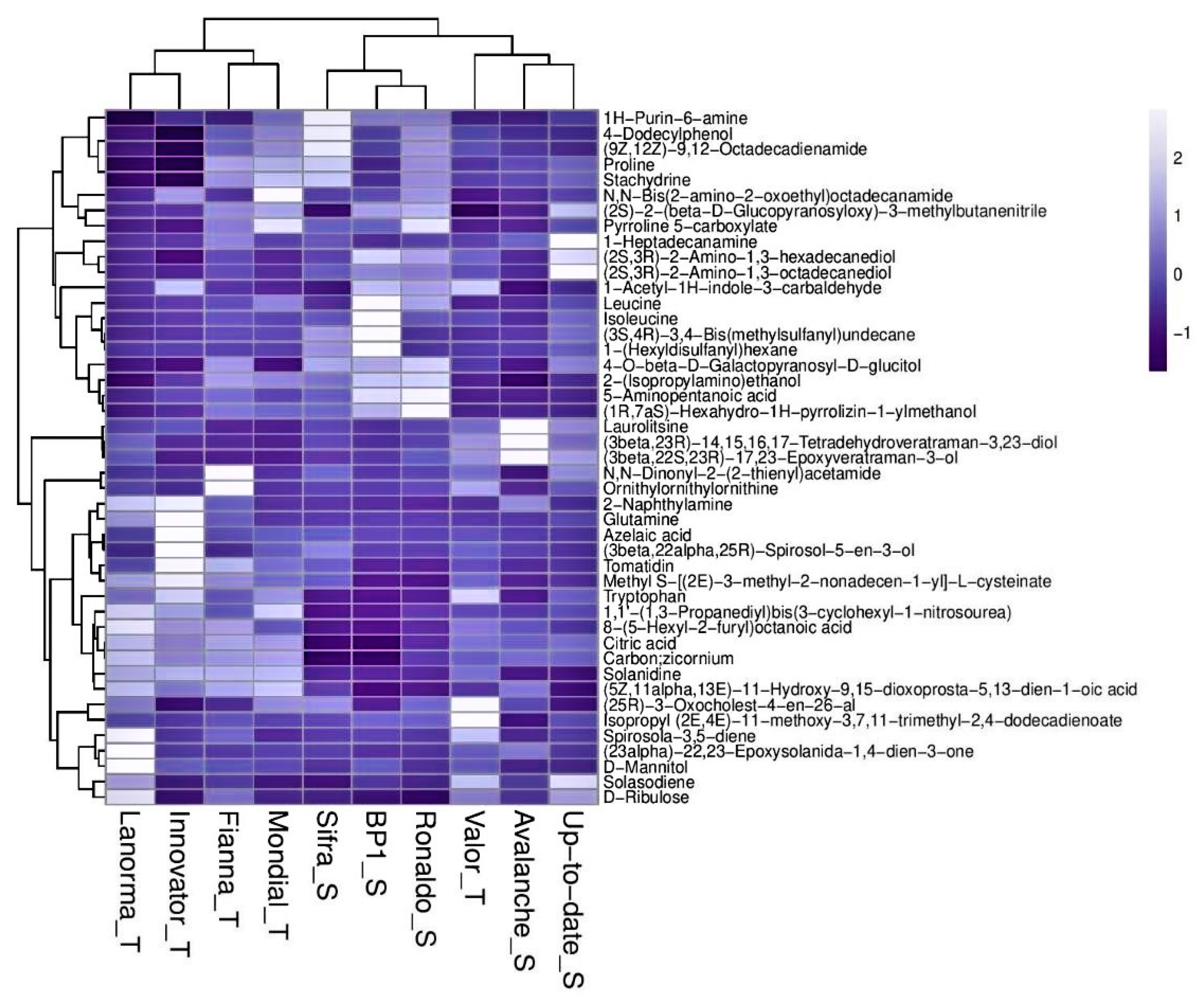 Ijms 21 03788 g005 Ijms 21 03788 g005
