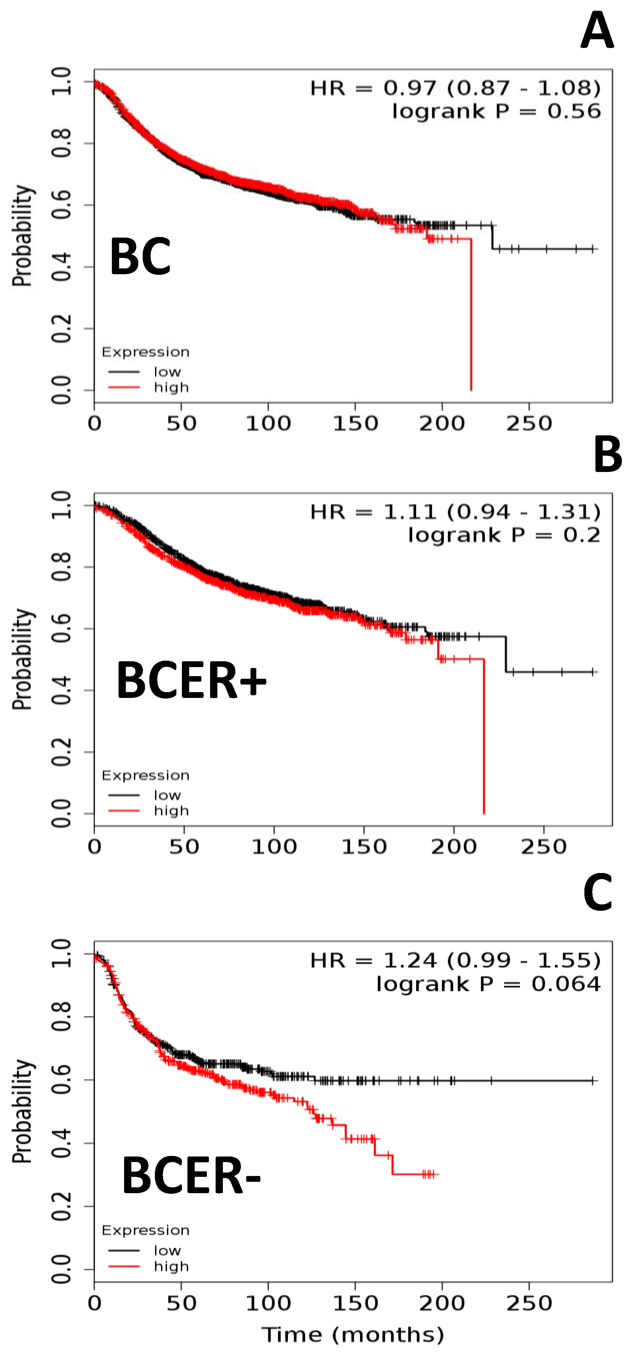 Ijms 21 03794 g001 Ijms 21 03794 g001