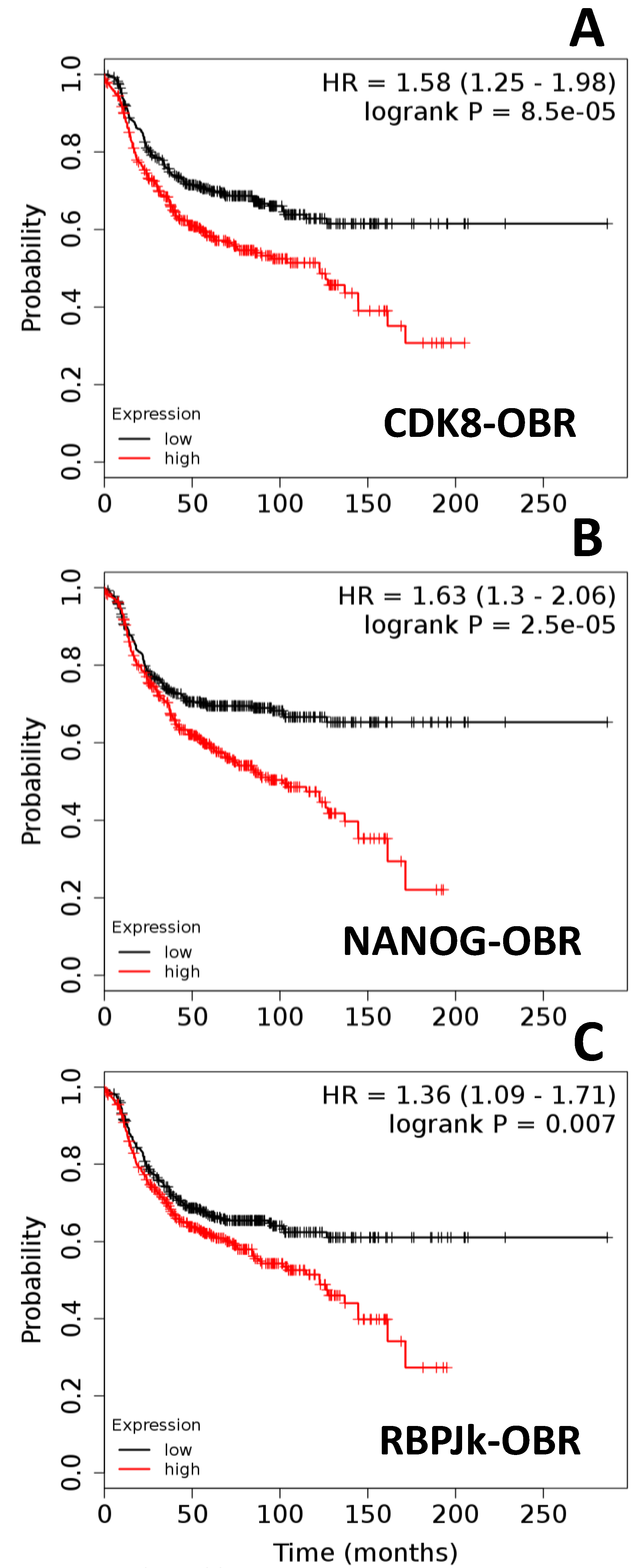 Ijms 21 03794 g003 Ijms 21 03794 g003