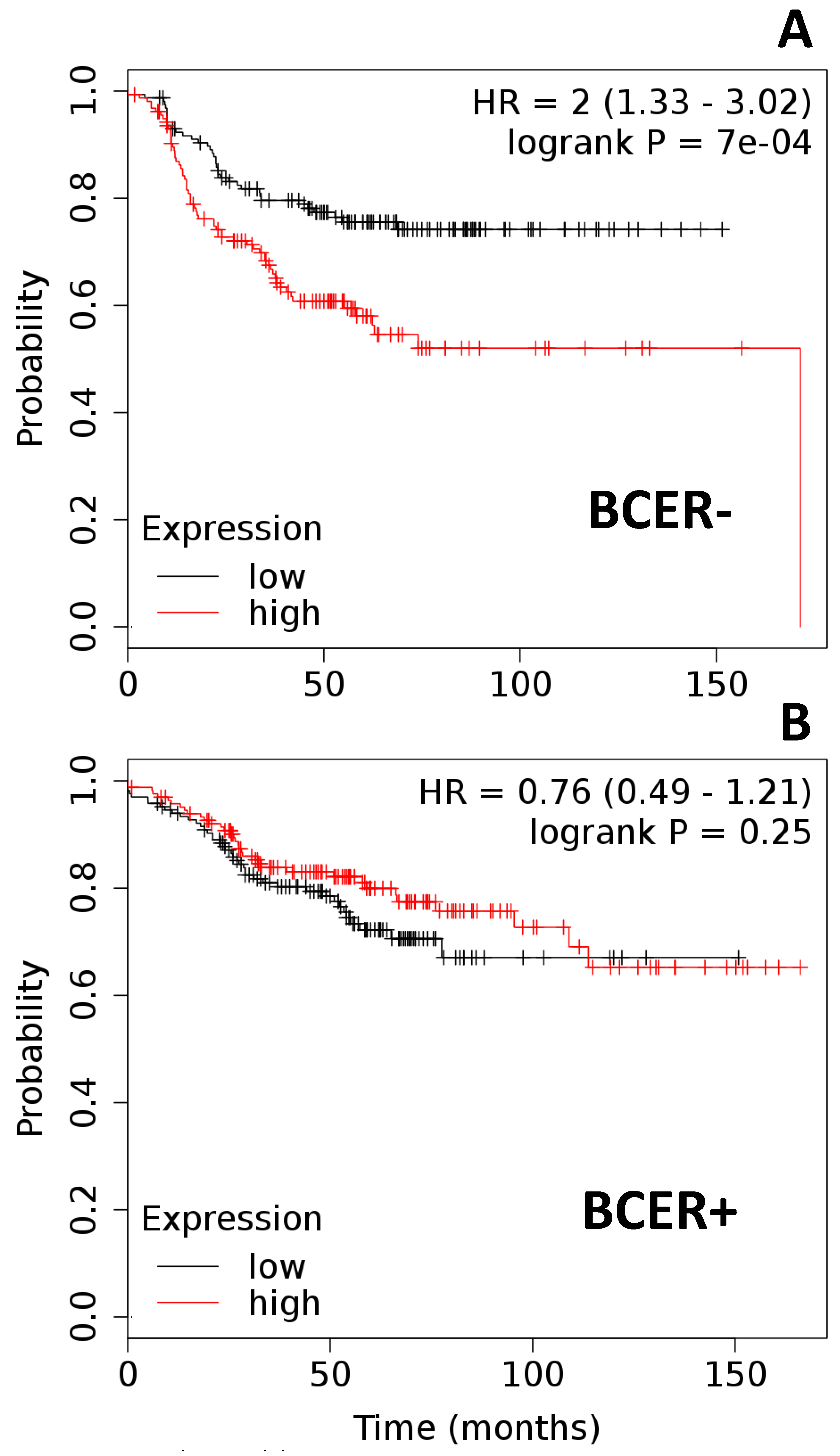 Ijms 21 03794 g004 Ijms 21 03794 g004