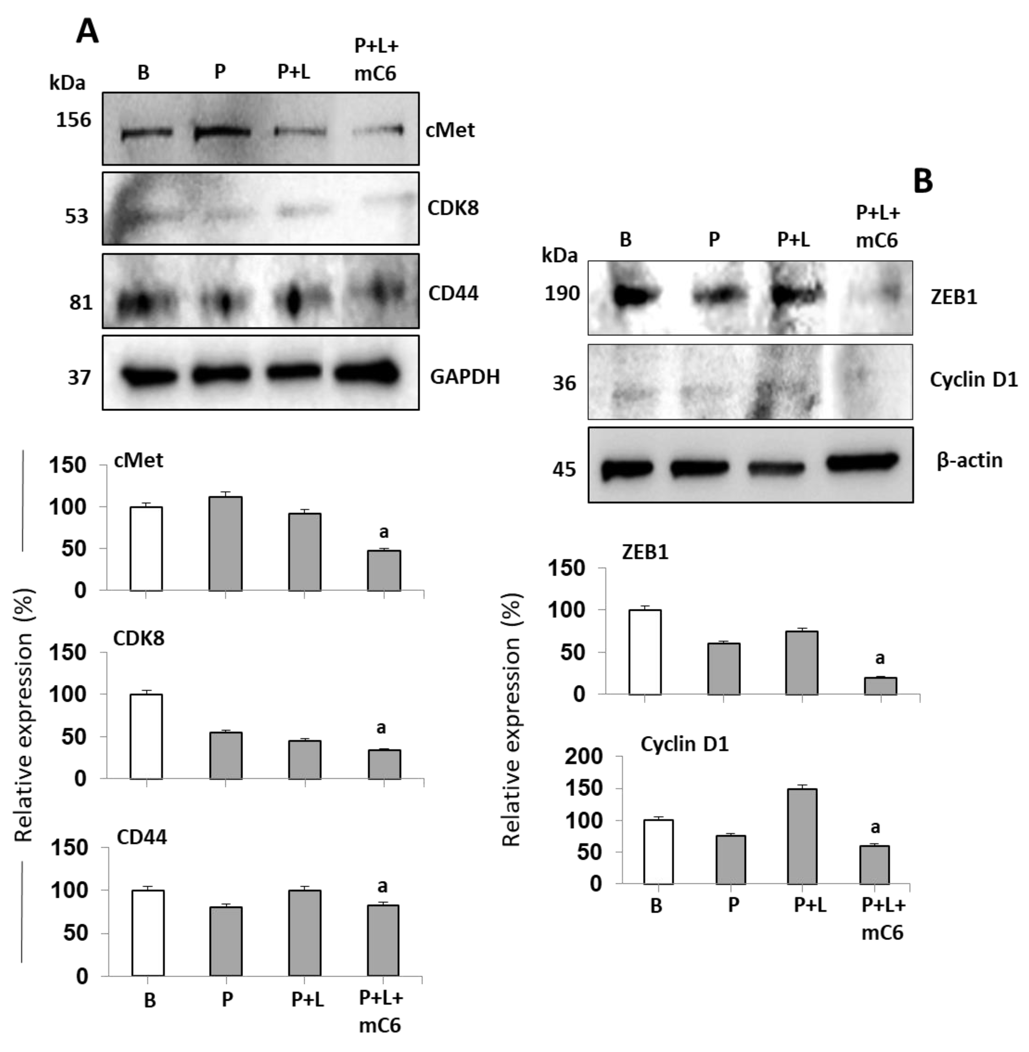 Ijms 21 03794 g007 Ijms 21 03794 g007