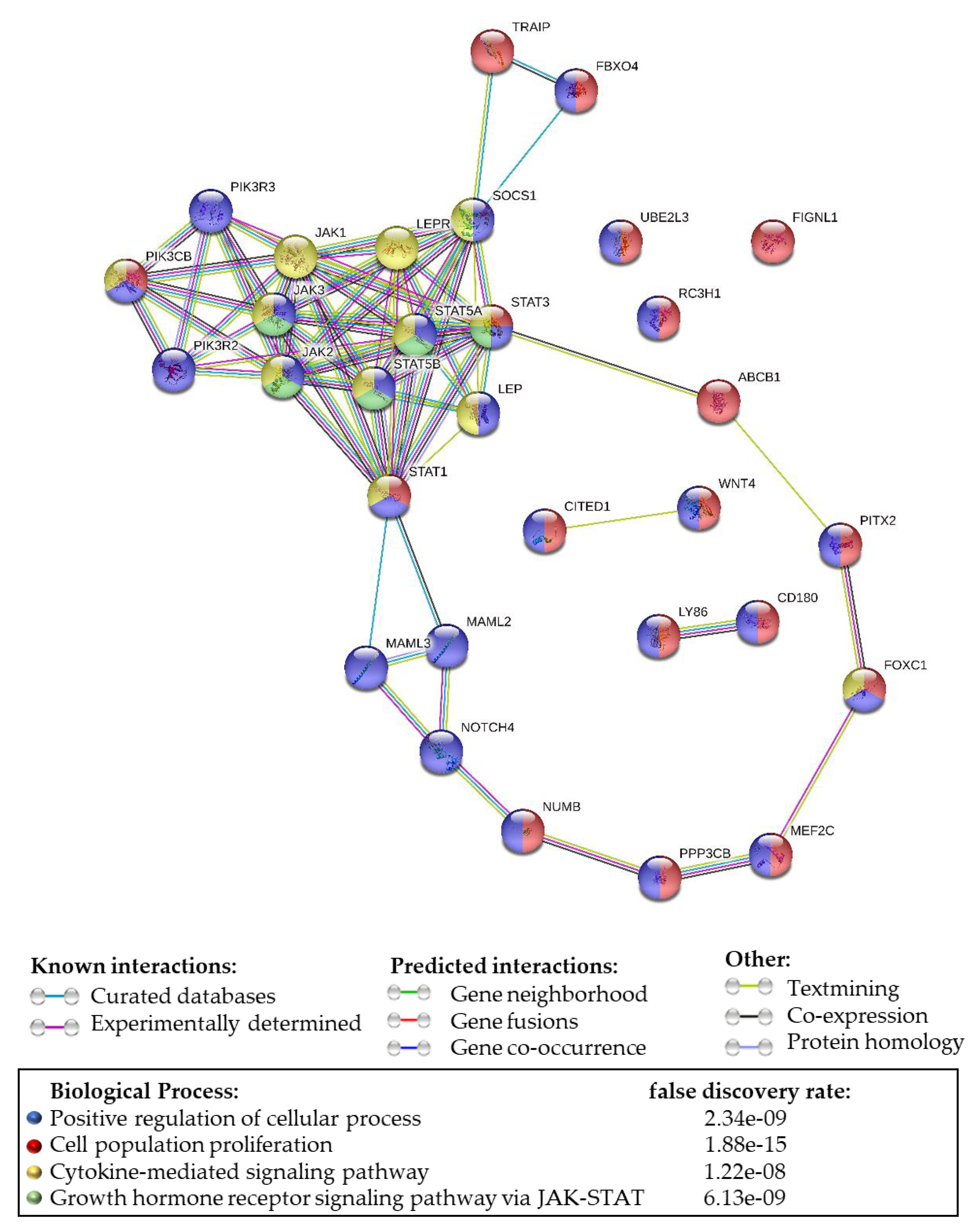 Ijms 21 03794 g009 Ijms 21 03794 g009