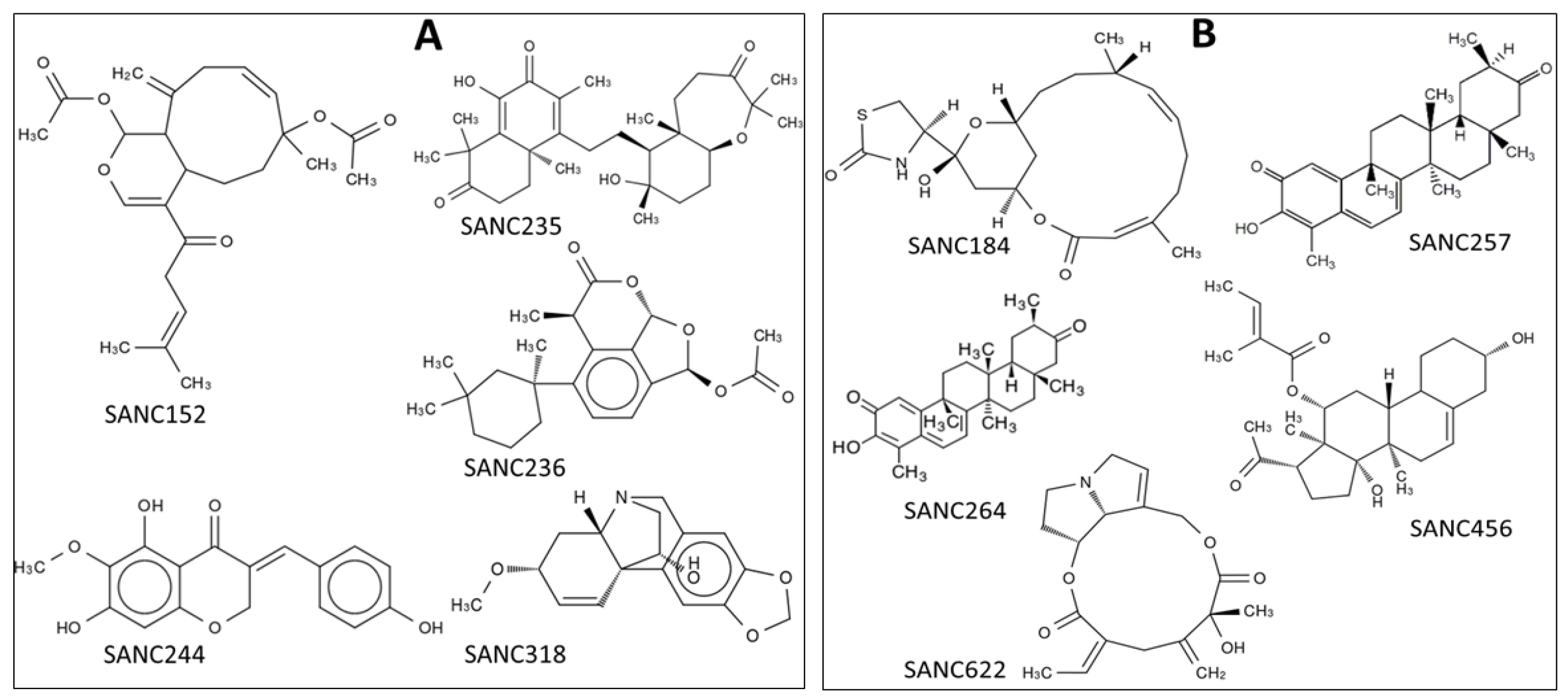 Ijms 21 03803 g001 Ijms 21 03803 g001
