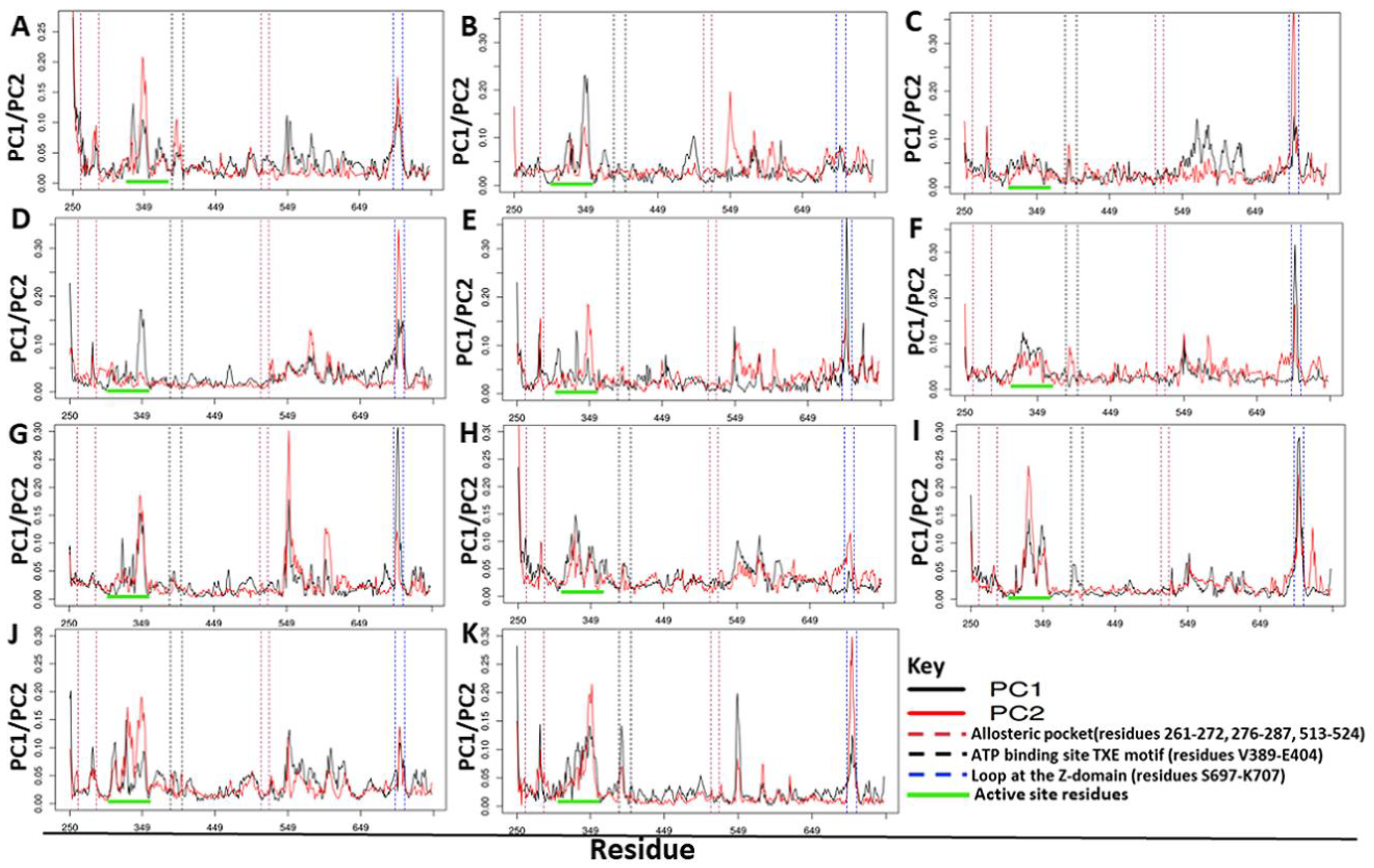 Ijms 21 03803 g009 Ijms 21 03803 g009