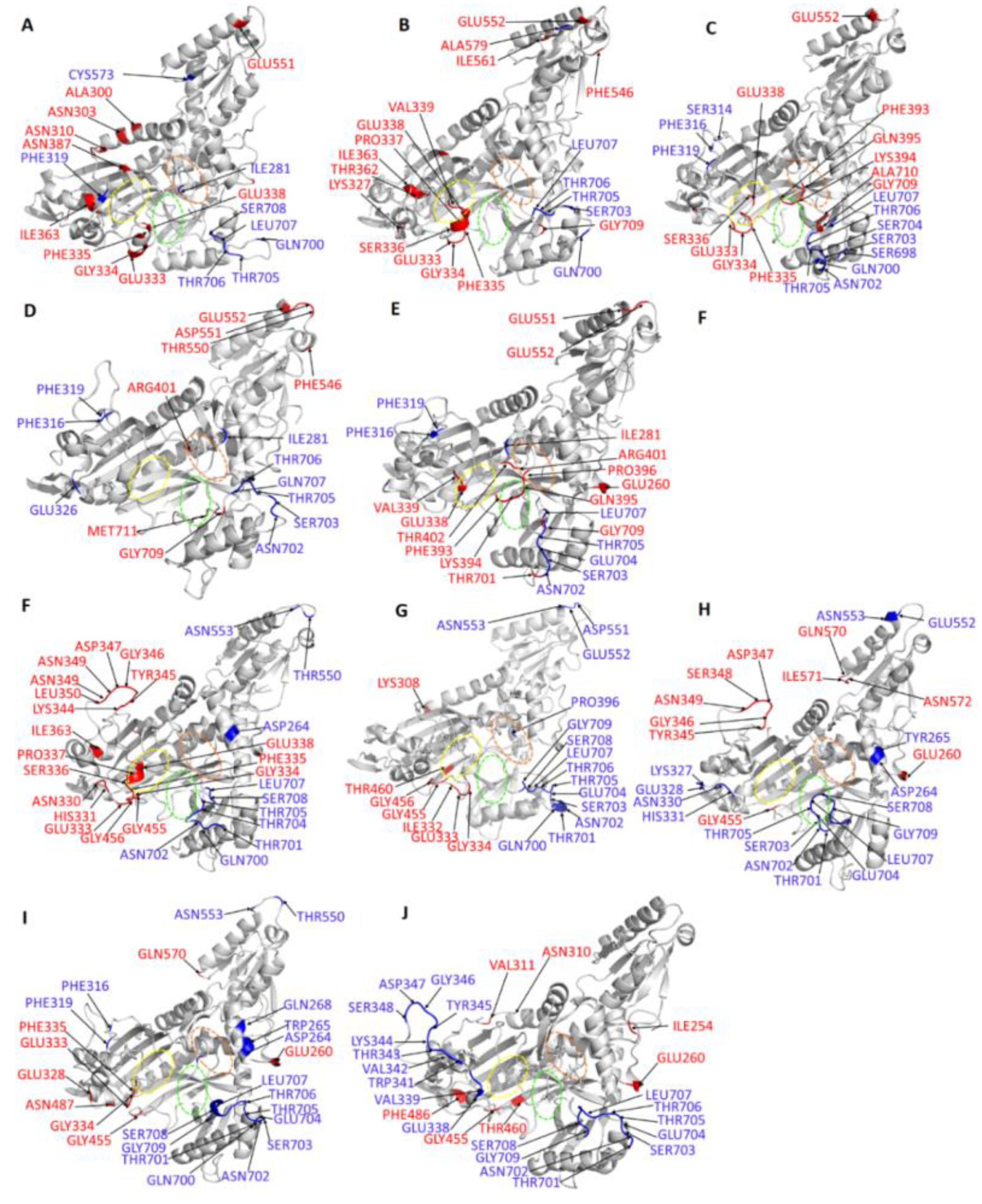 Ijms 21 03803 g011 Ijms 21 03803 g011