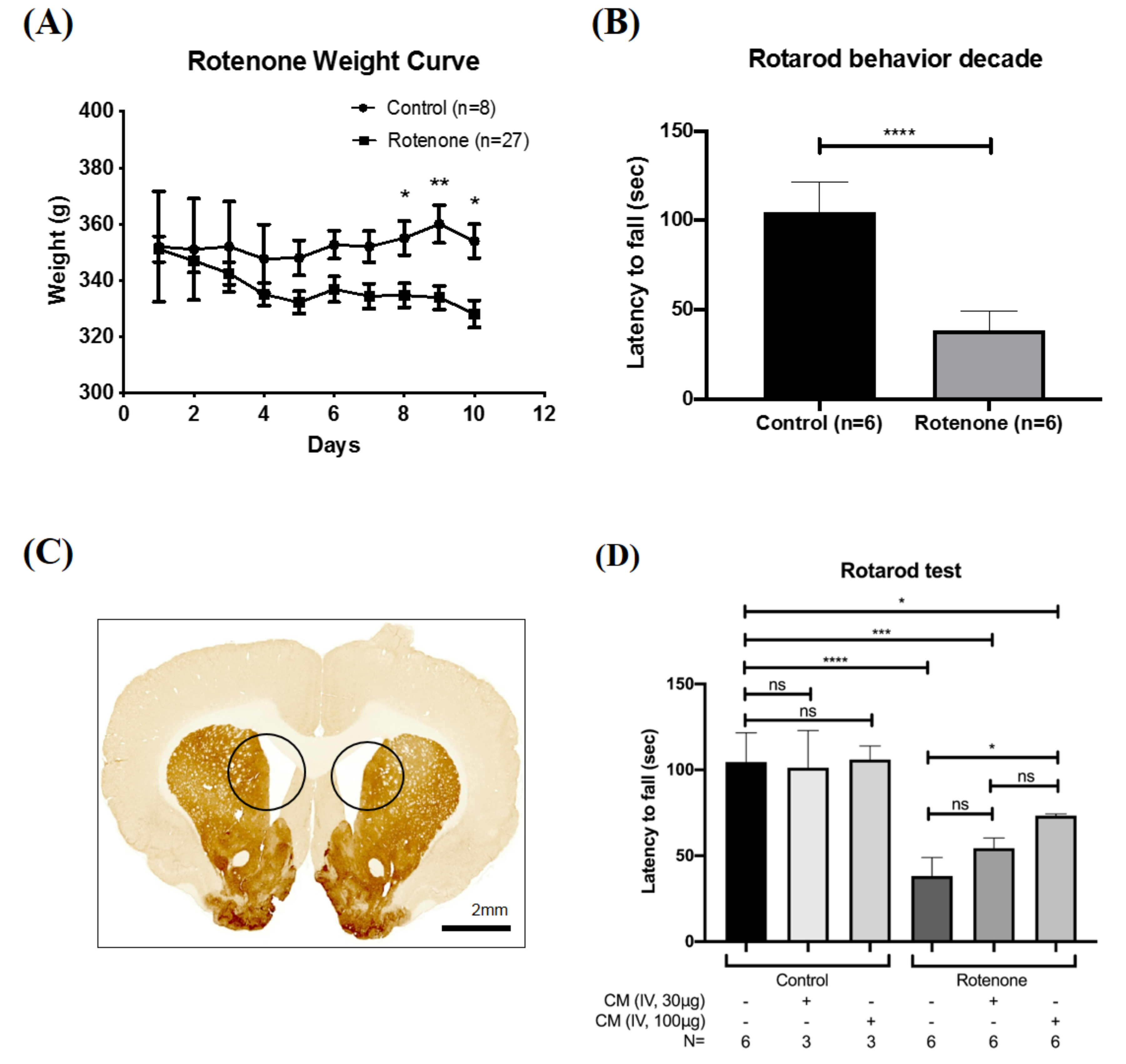 Ijms 21 03807 g001 Ijms 21 03807 g001