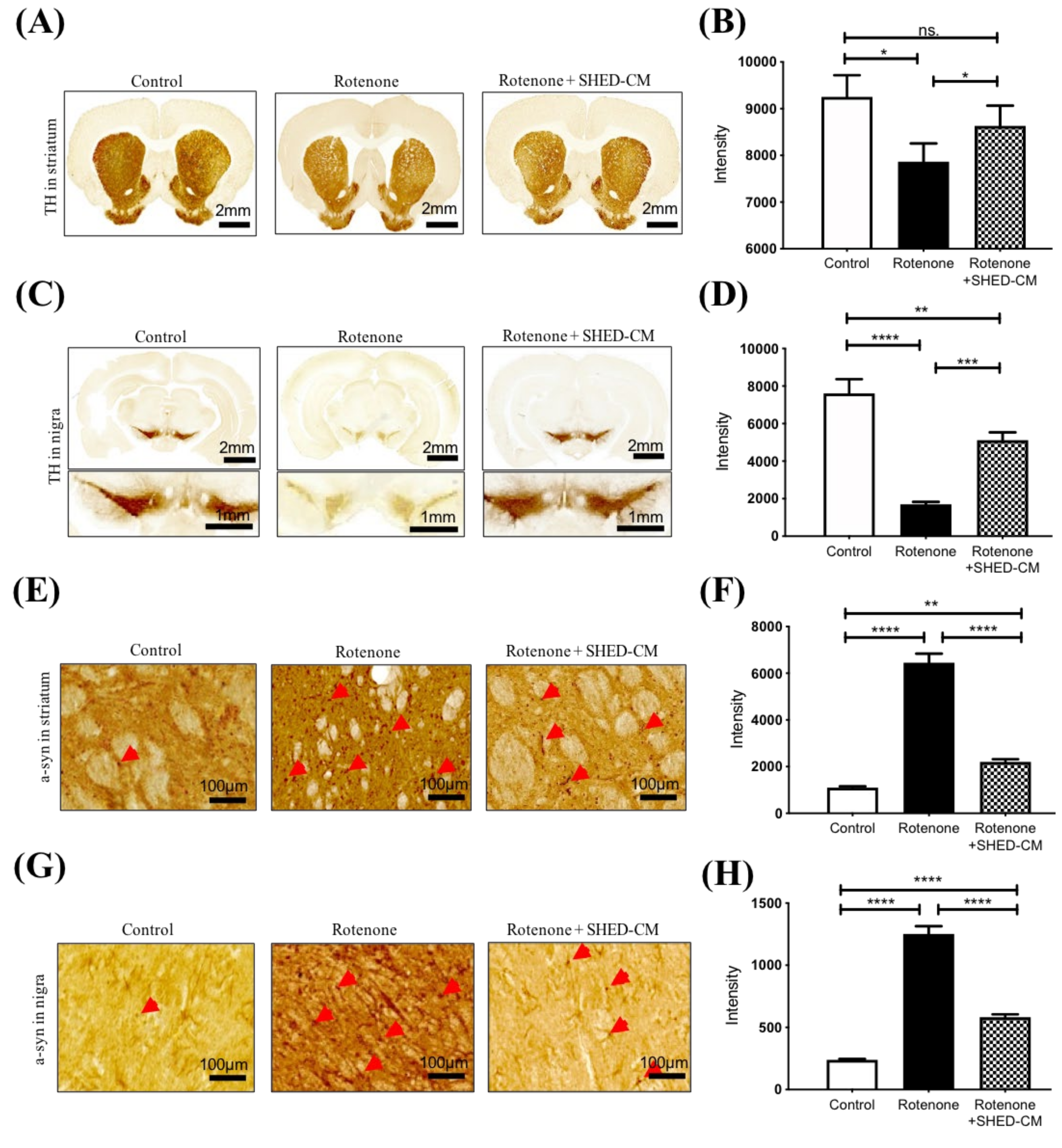 Ijms 21 03807 g002 Ijms 21 03807 g002