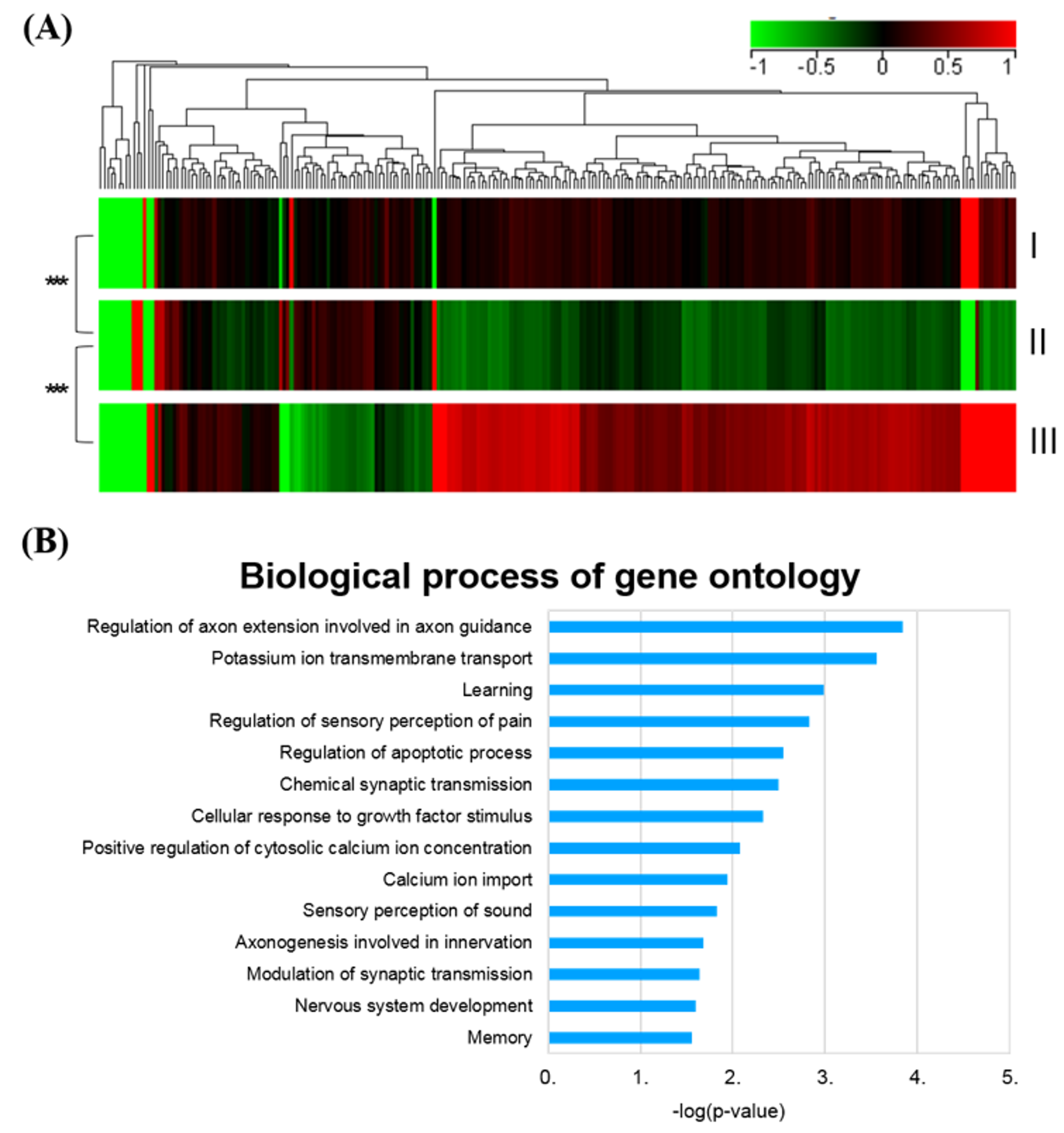 Ijms 21 03807 g005 Ijms 21 03807 g005