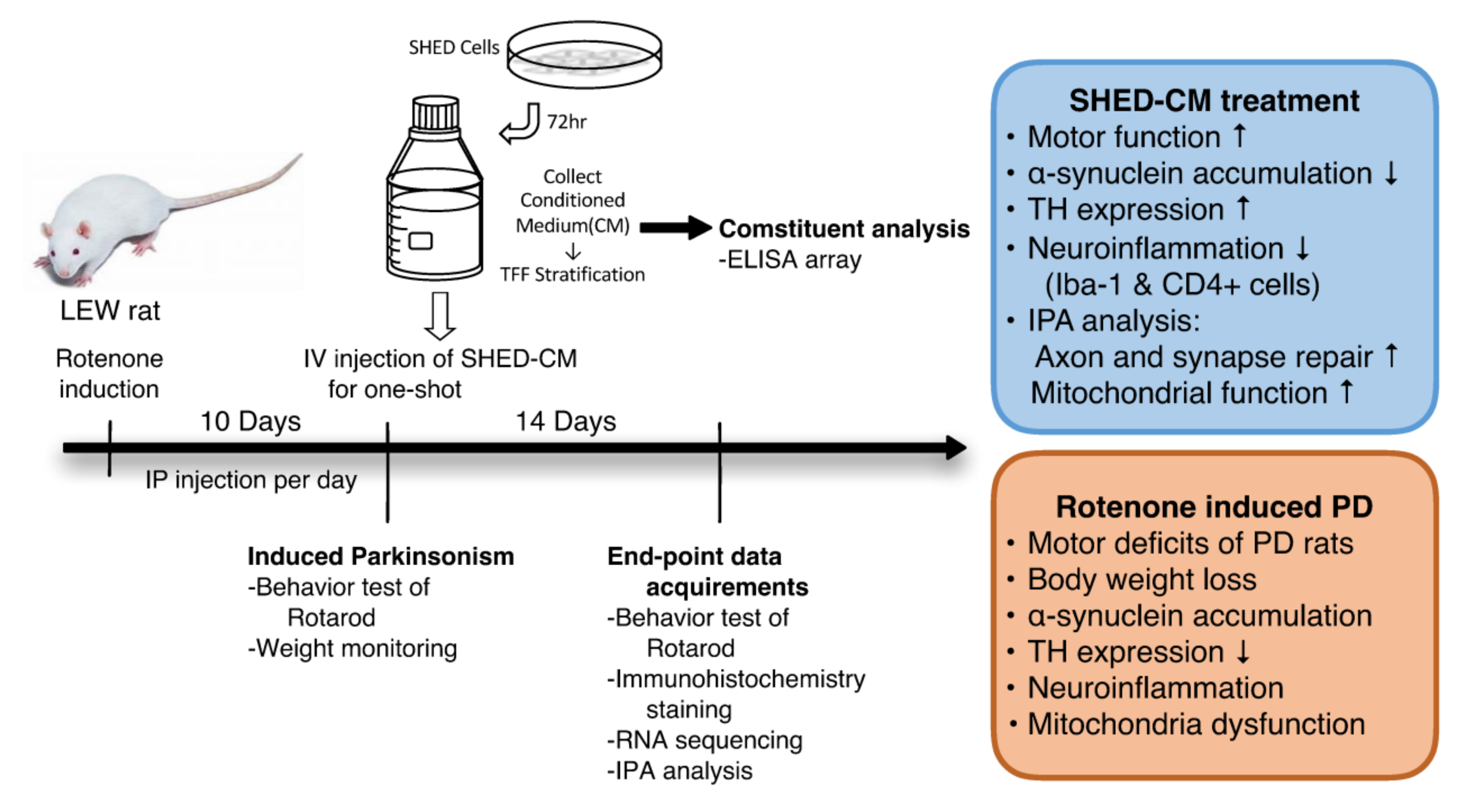 Ijms 21 03807 g007 Ijms 21 03807 g007