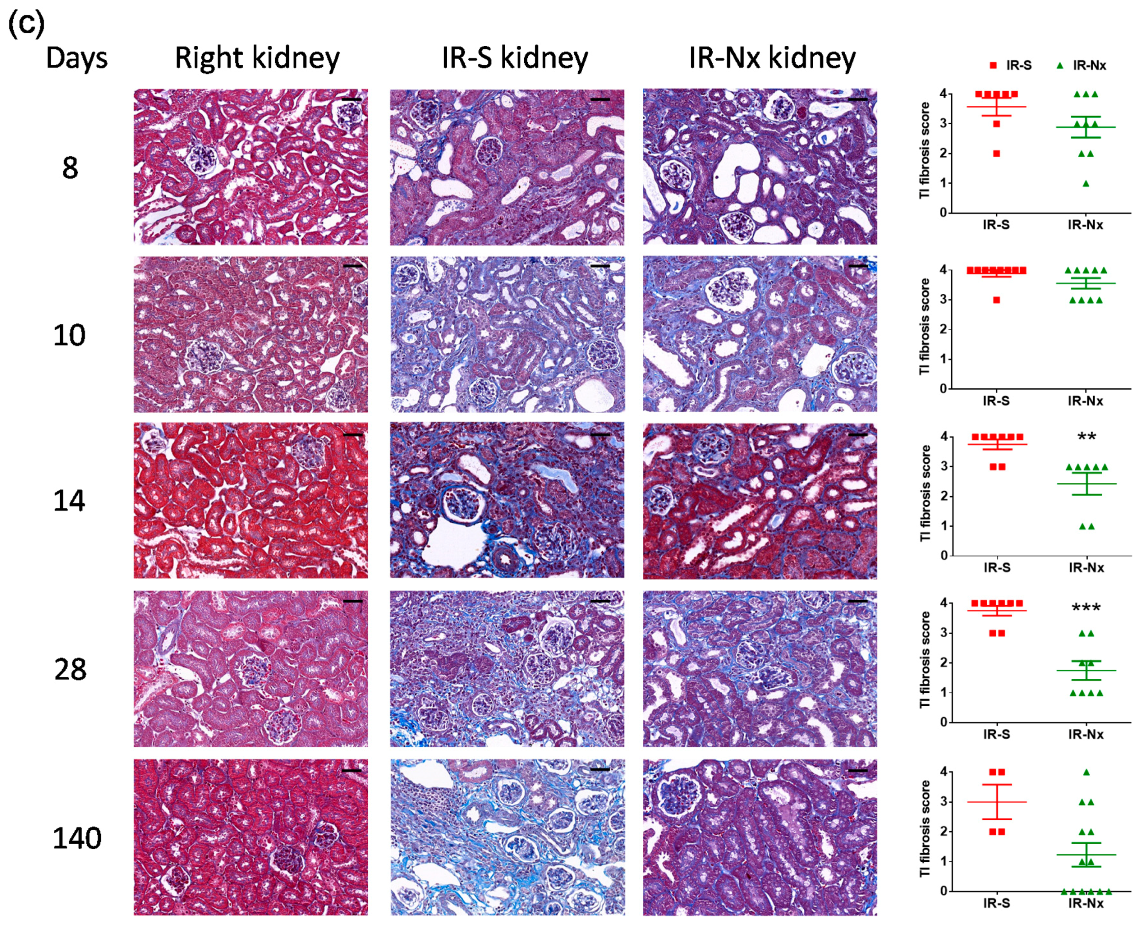 Ijms 21 03825 g004b Ijms 21 03825 g004b