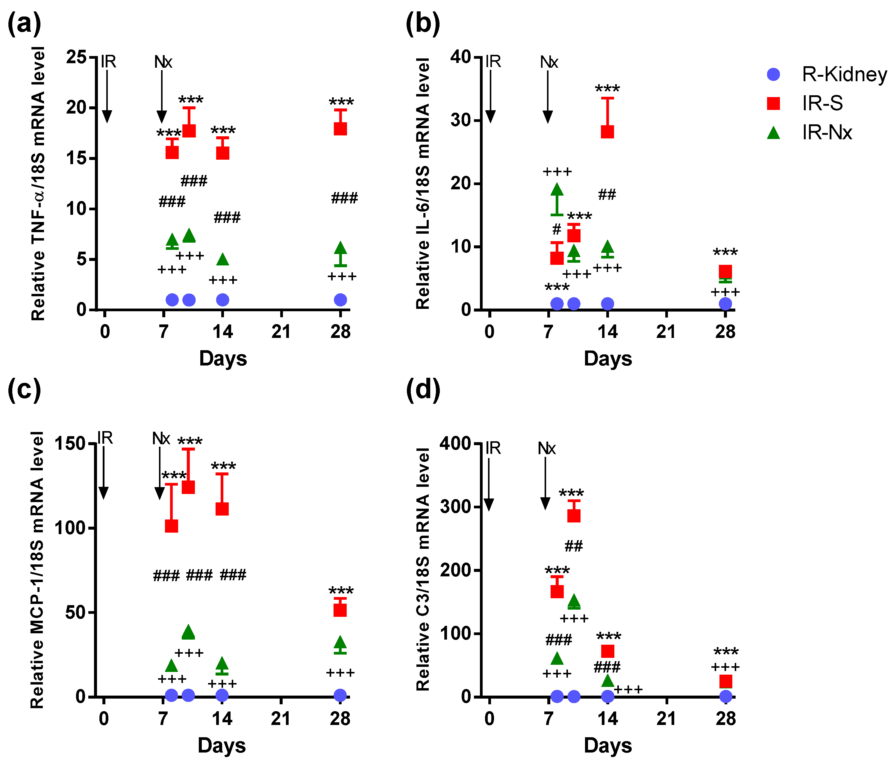 Ijms 21 03825 g006 Ijms 21 03825 g006