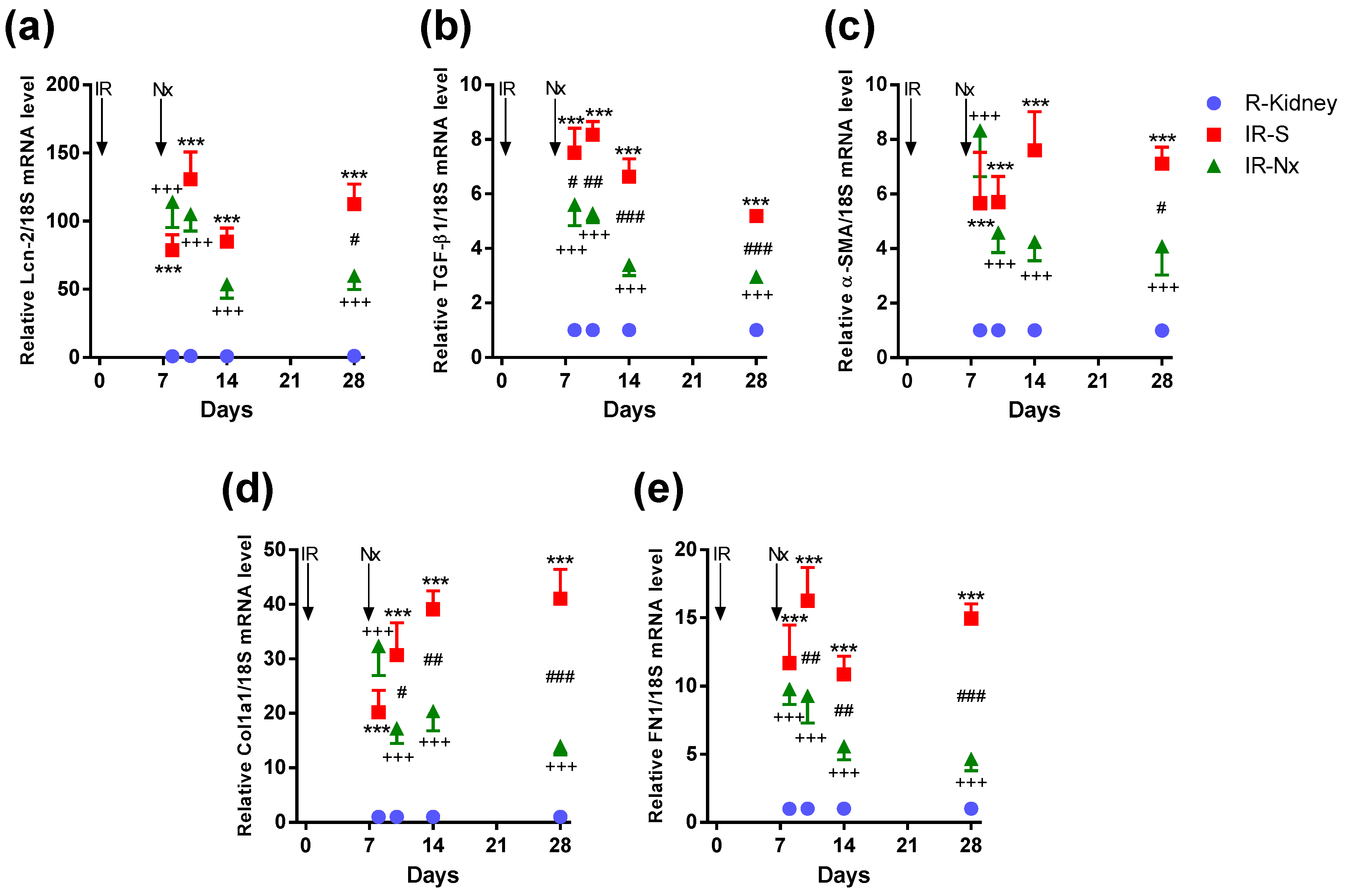 Ijms 21 03825 g008 Ijms 21 03825 g008