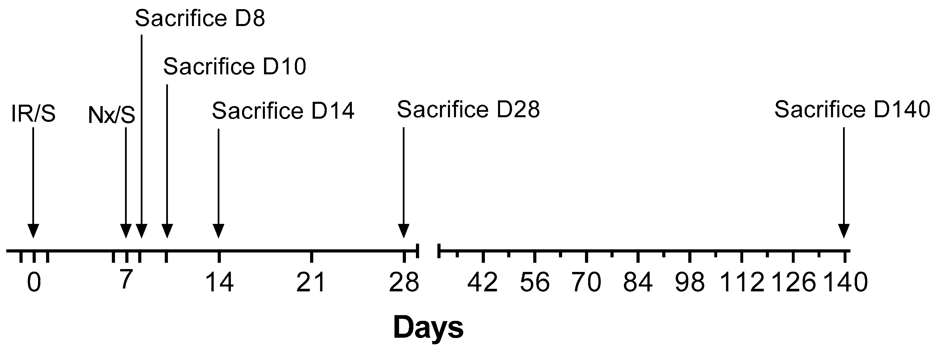 Ijms 21 03825 g009 Ijms 21 03825 g009