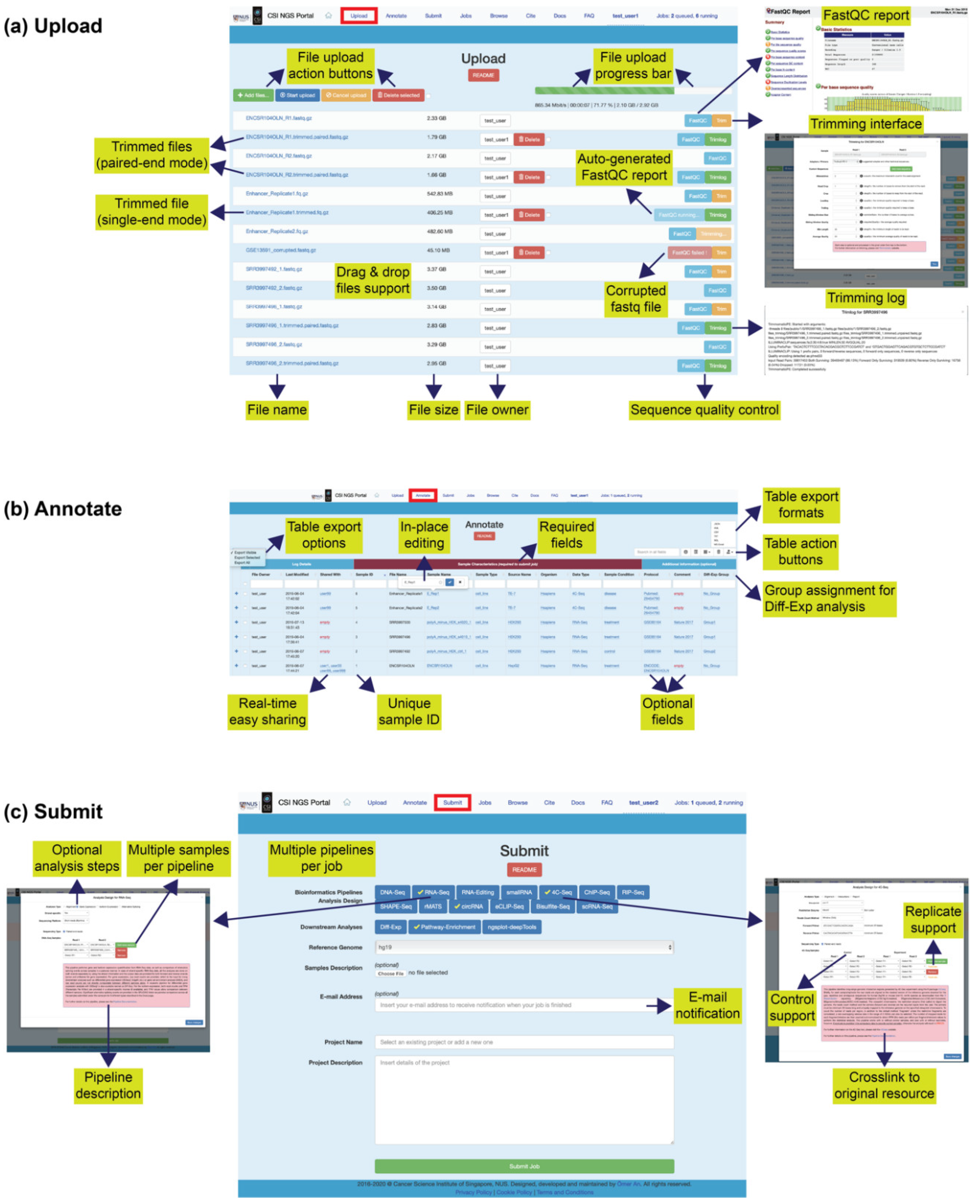 Ijms 21 03828 g002a Ijms 21 03828 g002a