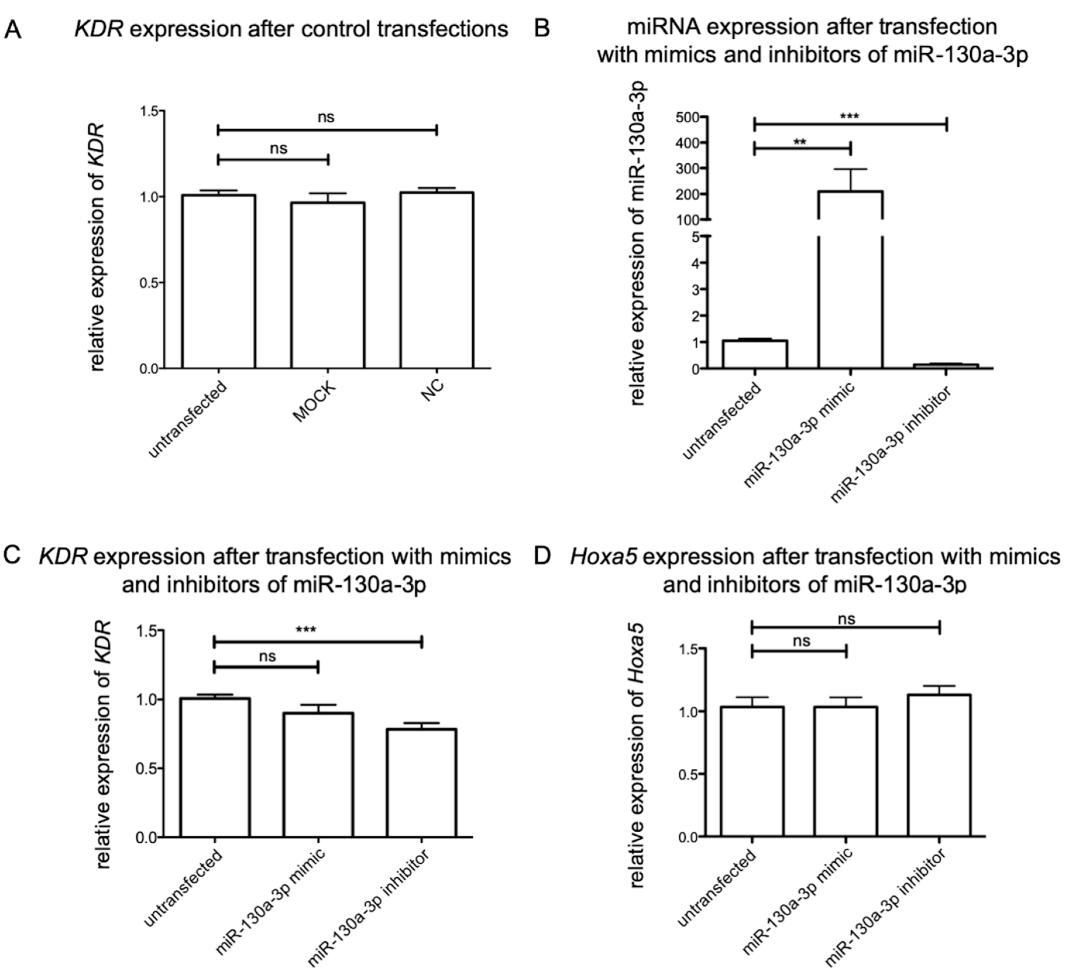 Ijms 21 03839 g004 Ijms 21 03839 g004
