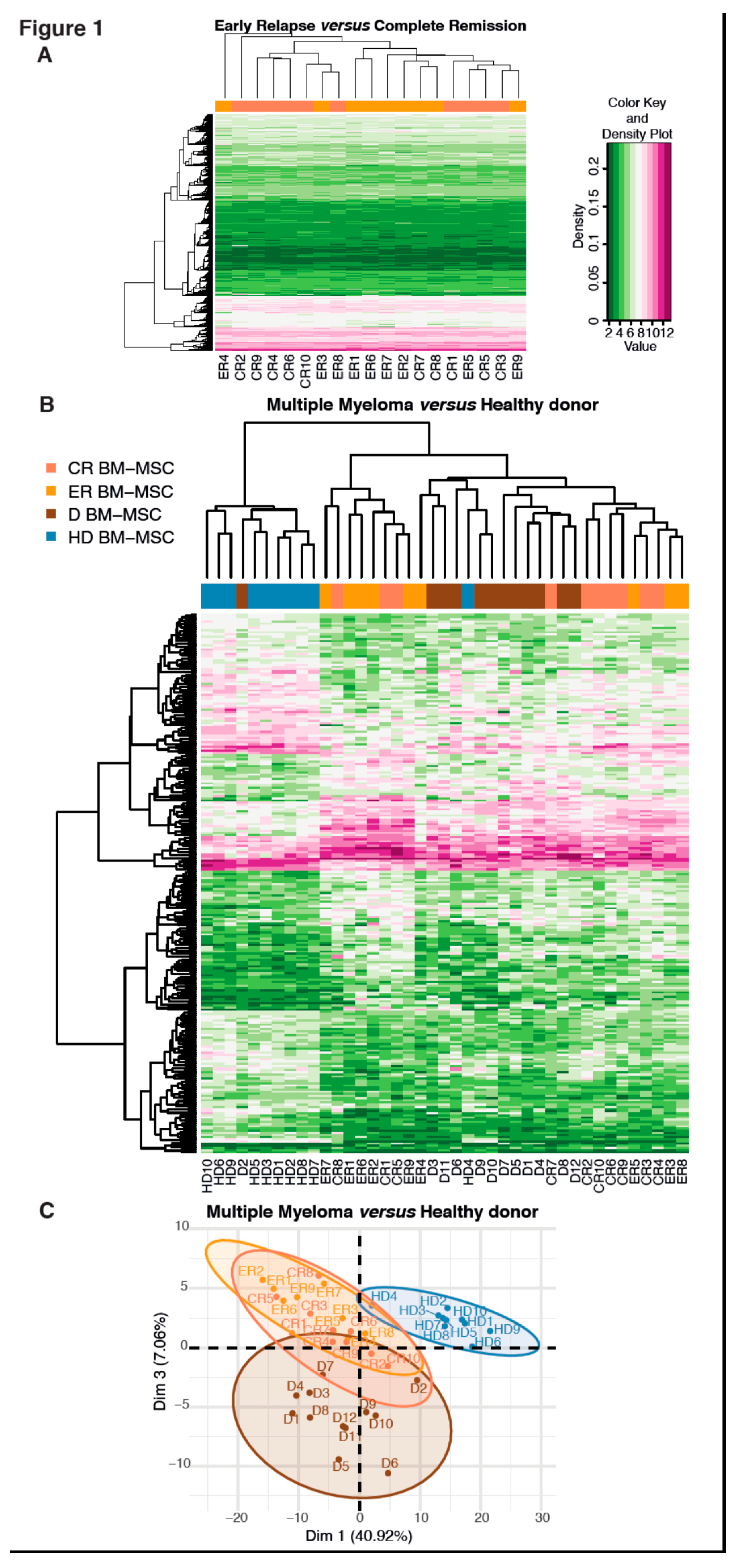 Ijms 21 03854 g001 Ijms 21 03854 g001