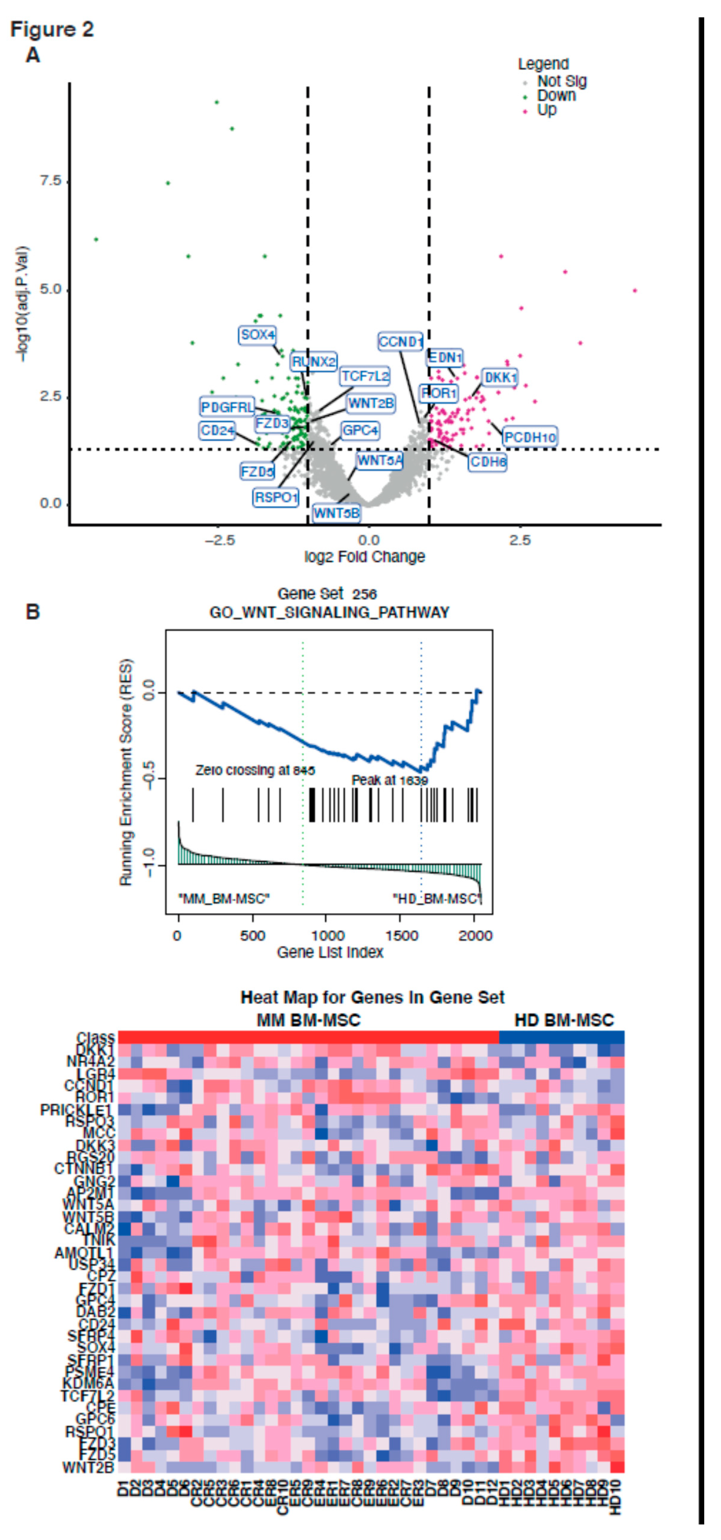 Ijms 21 03854 g002 Ijms 21 03854 g002
