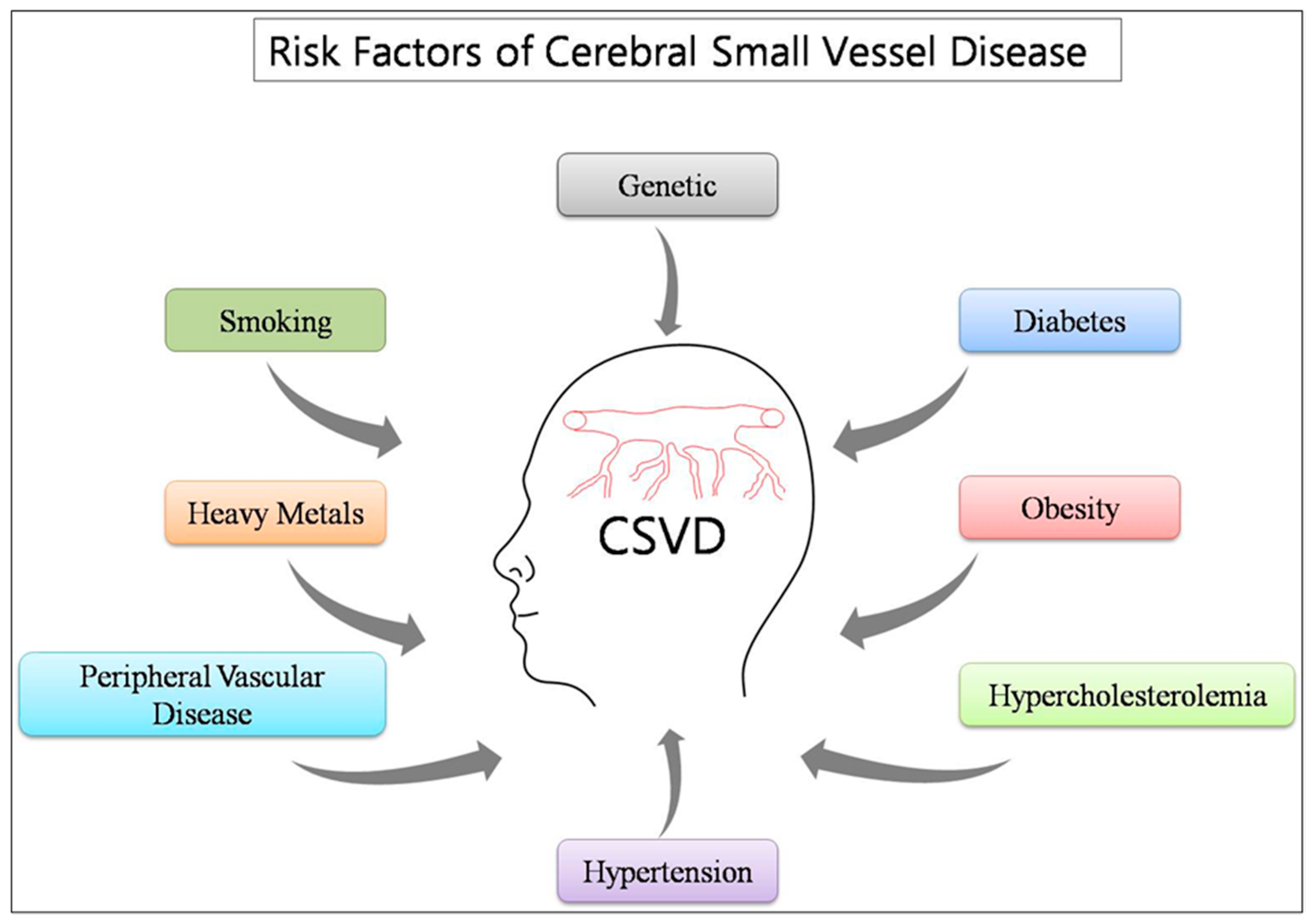 Ijms 21 03862 g001 Ijms 21 03862 g001