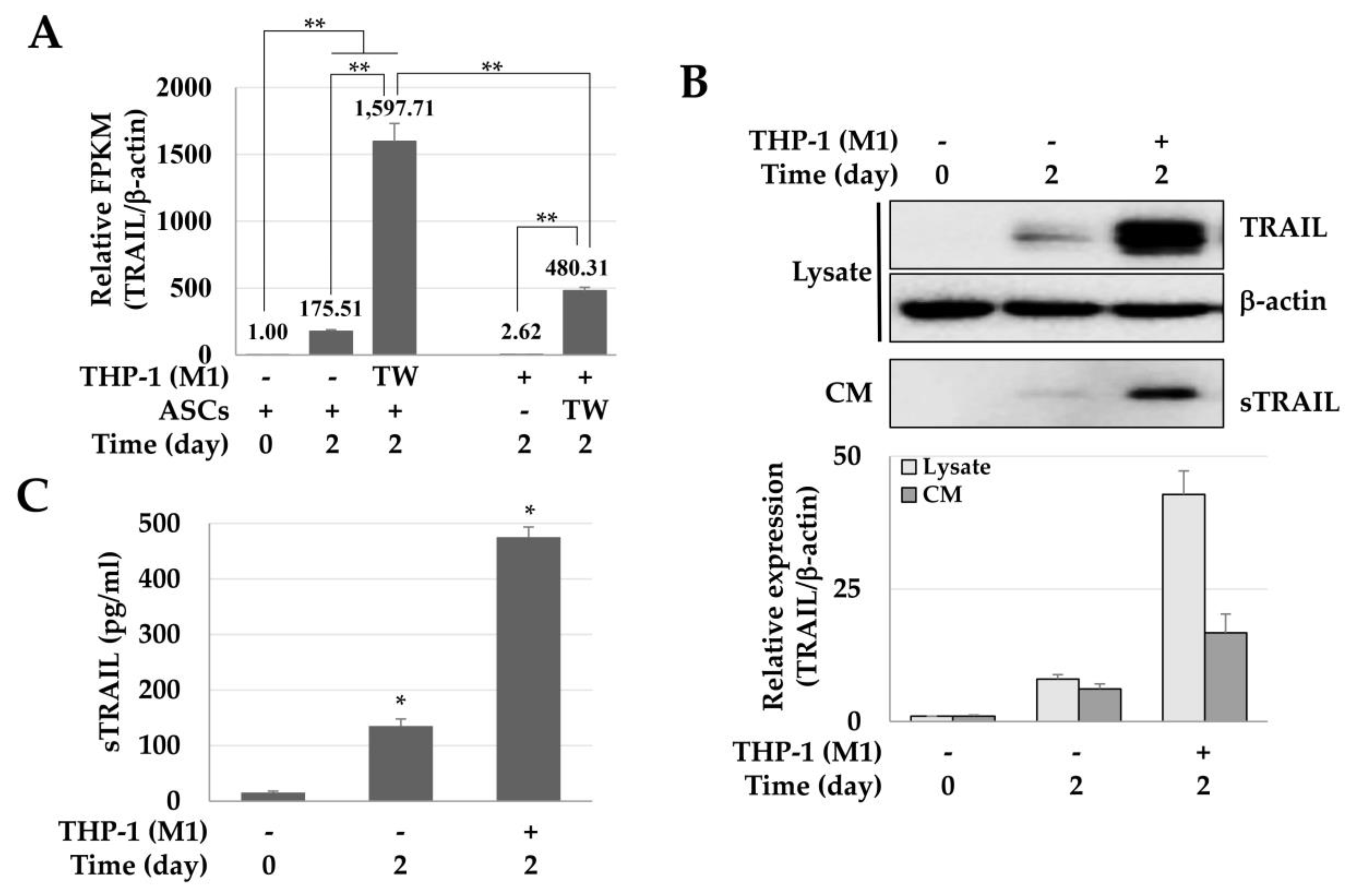 Ijms 21 03887 g001 Ijms 21 03887 g001