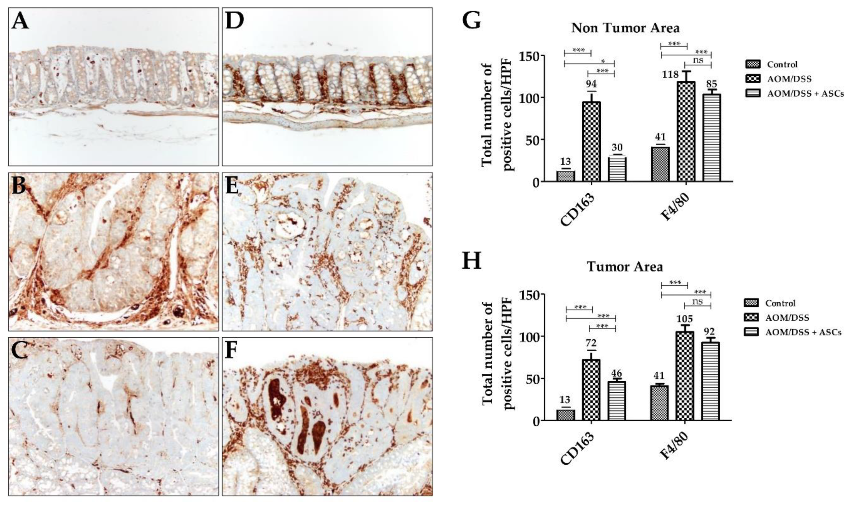 Ijms 21 03887 g006 Ijms 21 03887 g006
