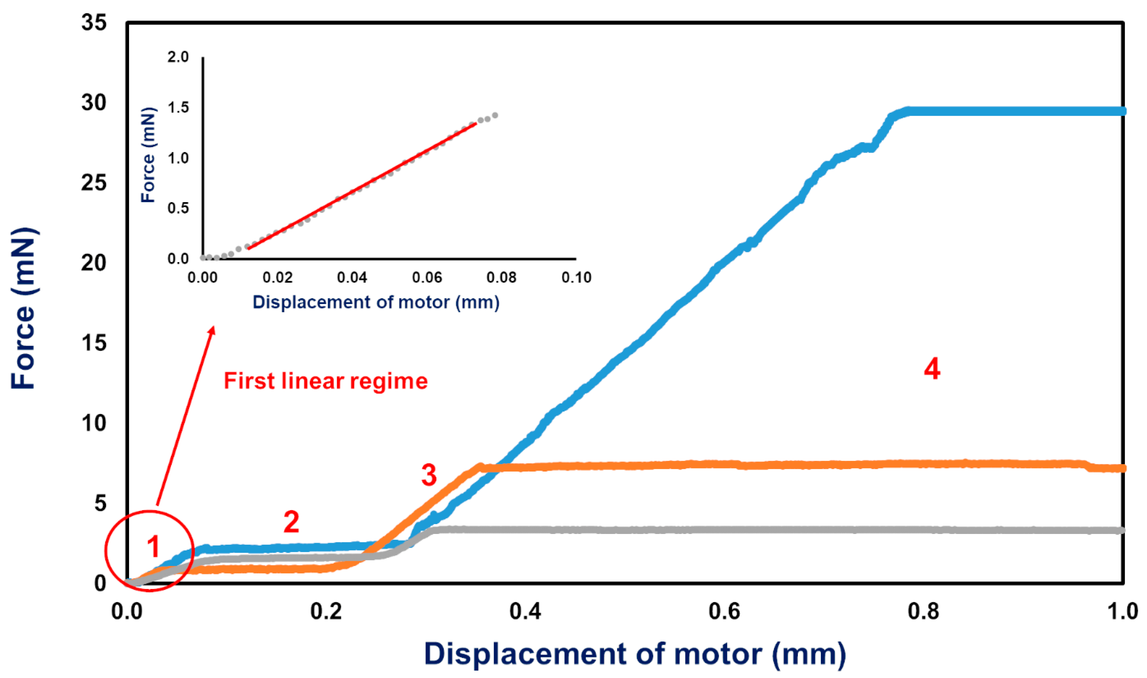 Ijms 21 03889 g002 Ijms 21 03889 g002