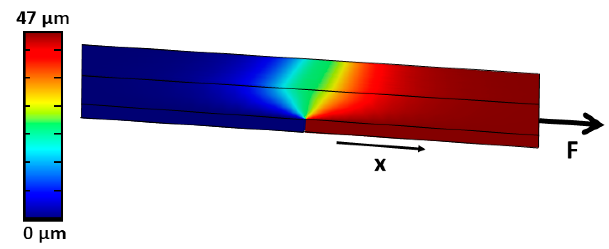 Ijms 21 03889 g004 Ijms 21 03889 g004