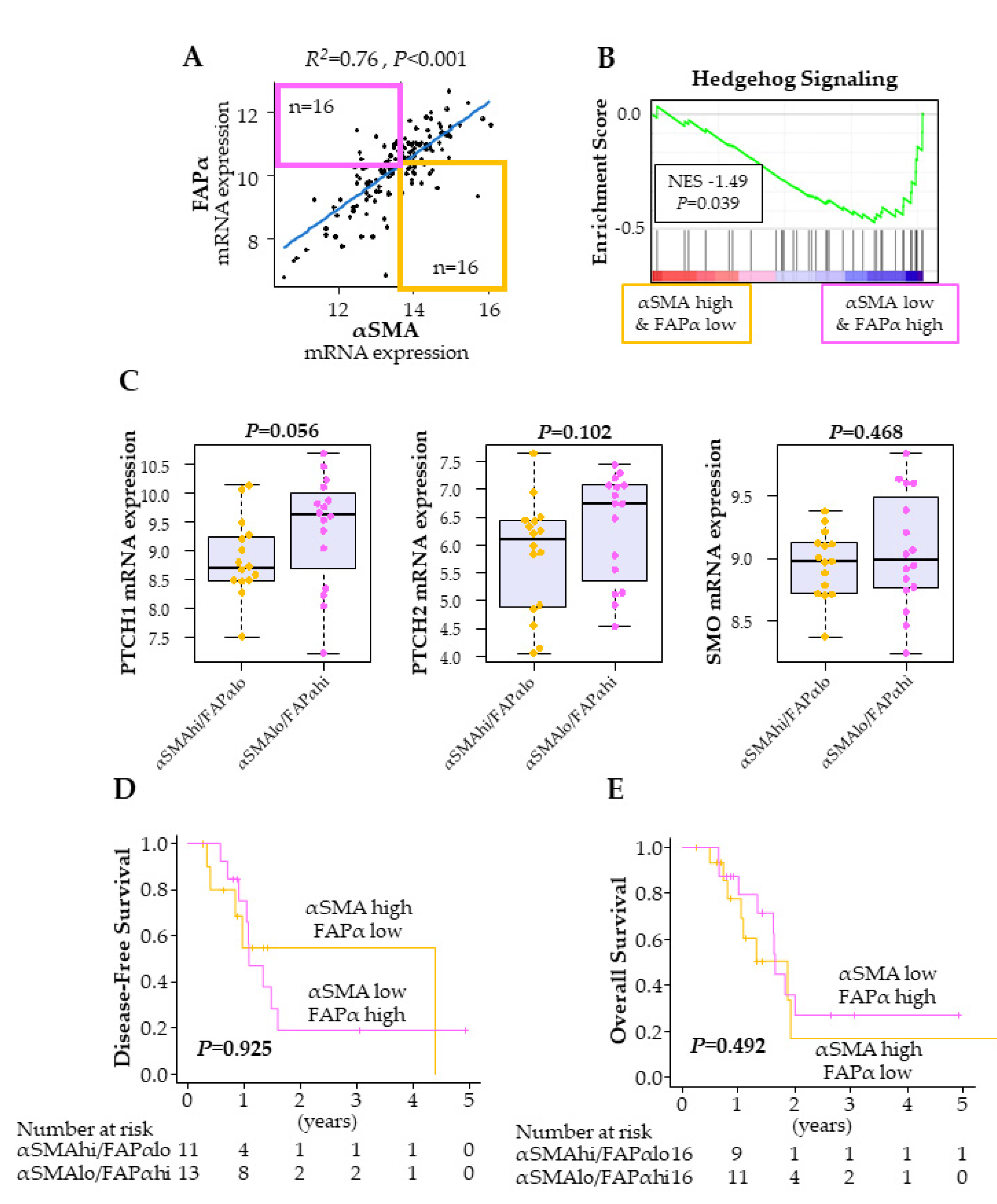 Ijms 21 03890 g003 Ijms 21 03890 g003