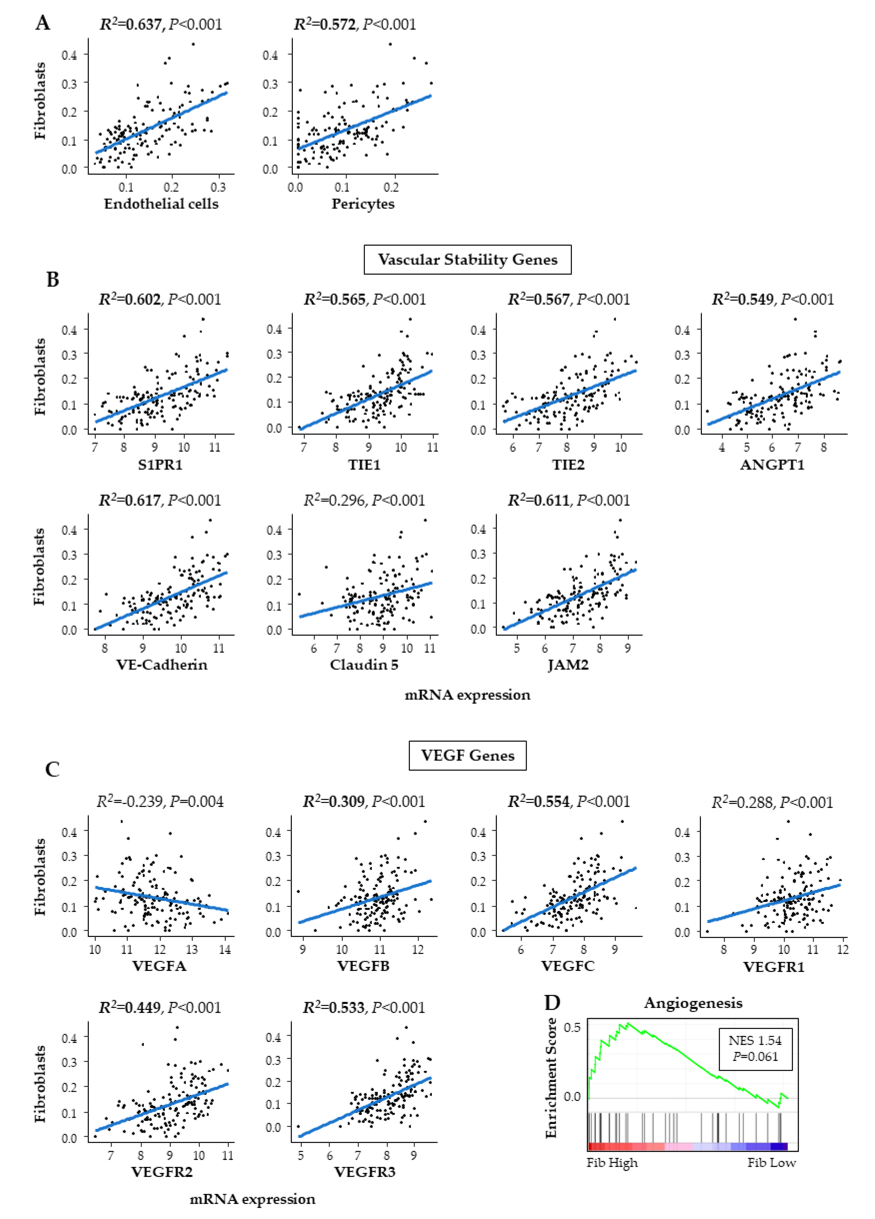 Ijms 21 03890 g004 Ijms 21 03890 g004