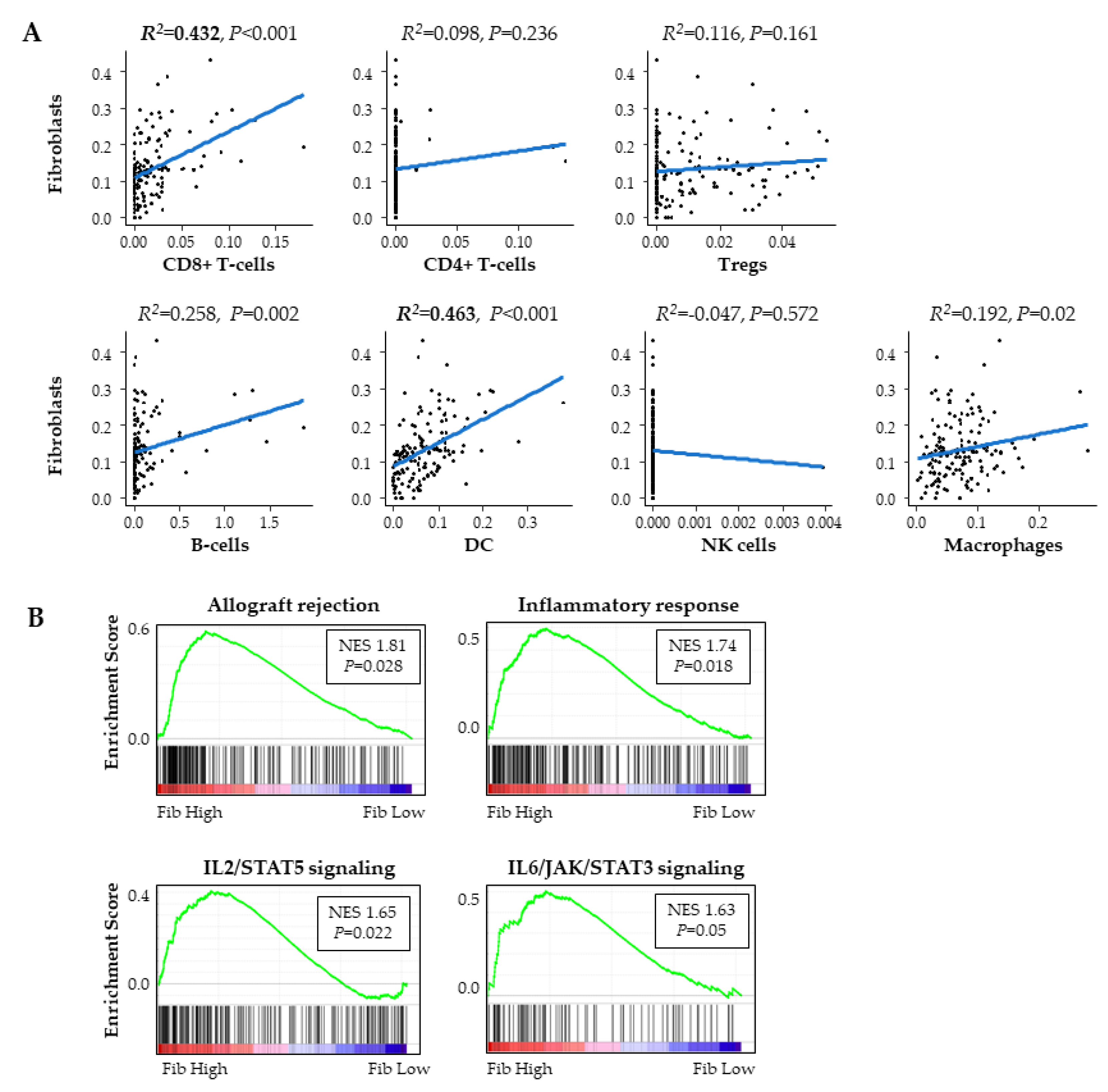 Ijms 21 03890 g005 Ijms 21 03890 g005