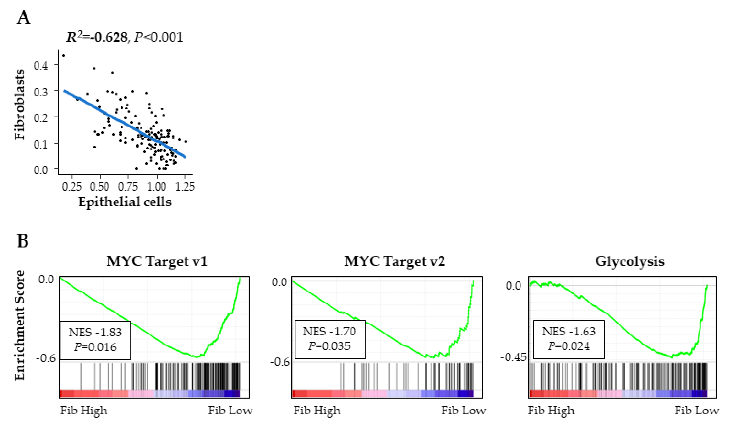 Ijms 21 03890 g006 Ijms 21 03890 g006
