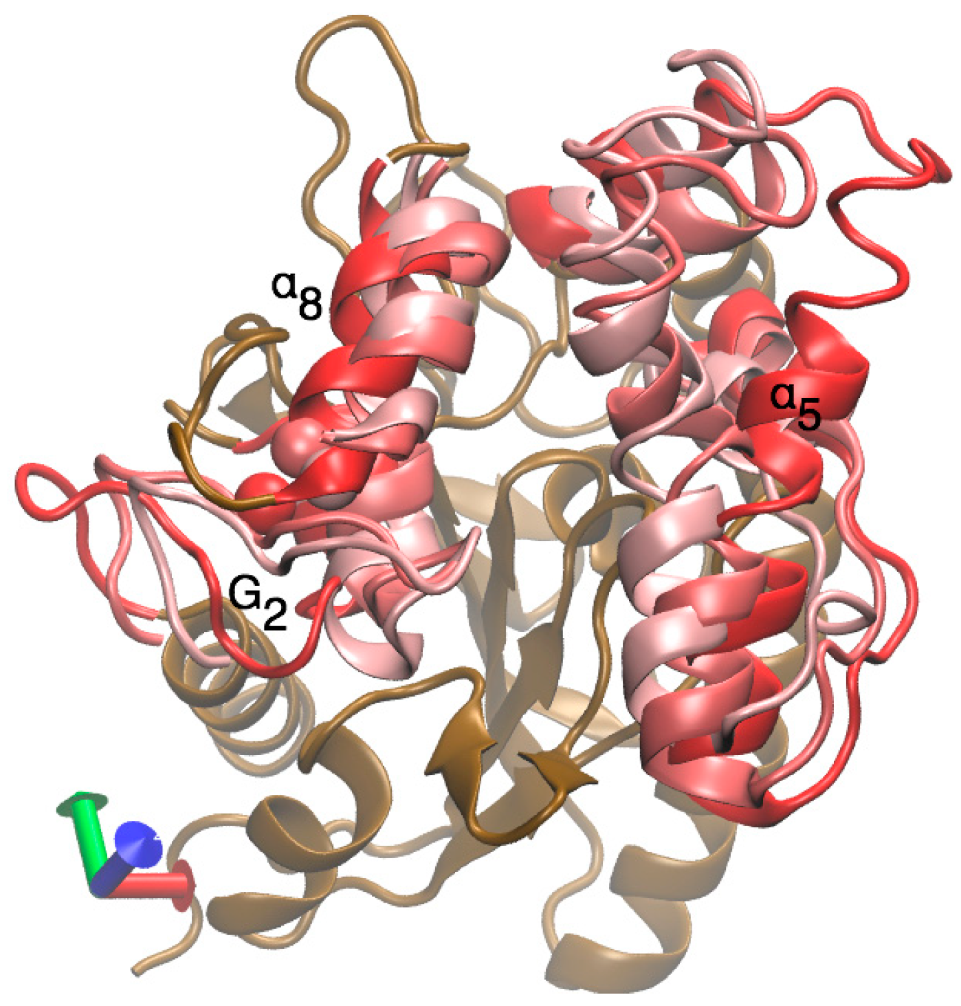 Ijms 21 03925 g007 Ijms 21 03925 g007