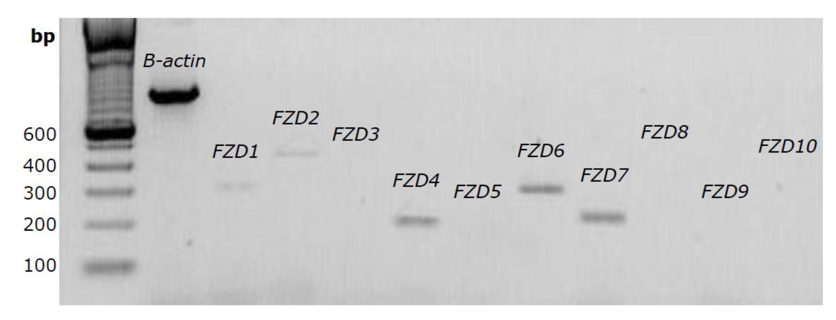 Ijms 21 03931 g003 Ijms 21 03931 g003