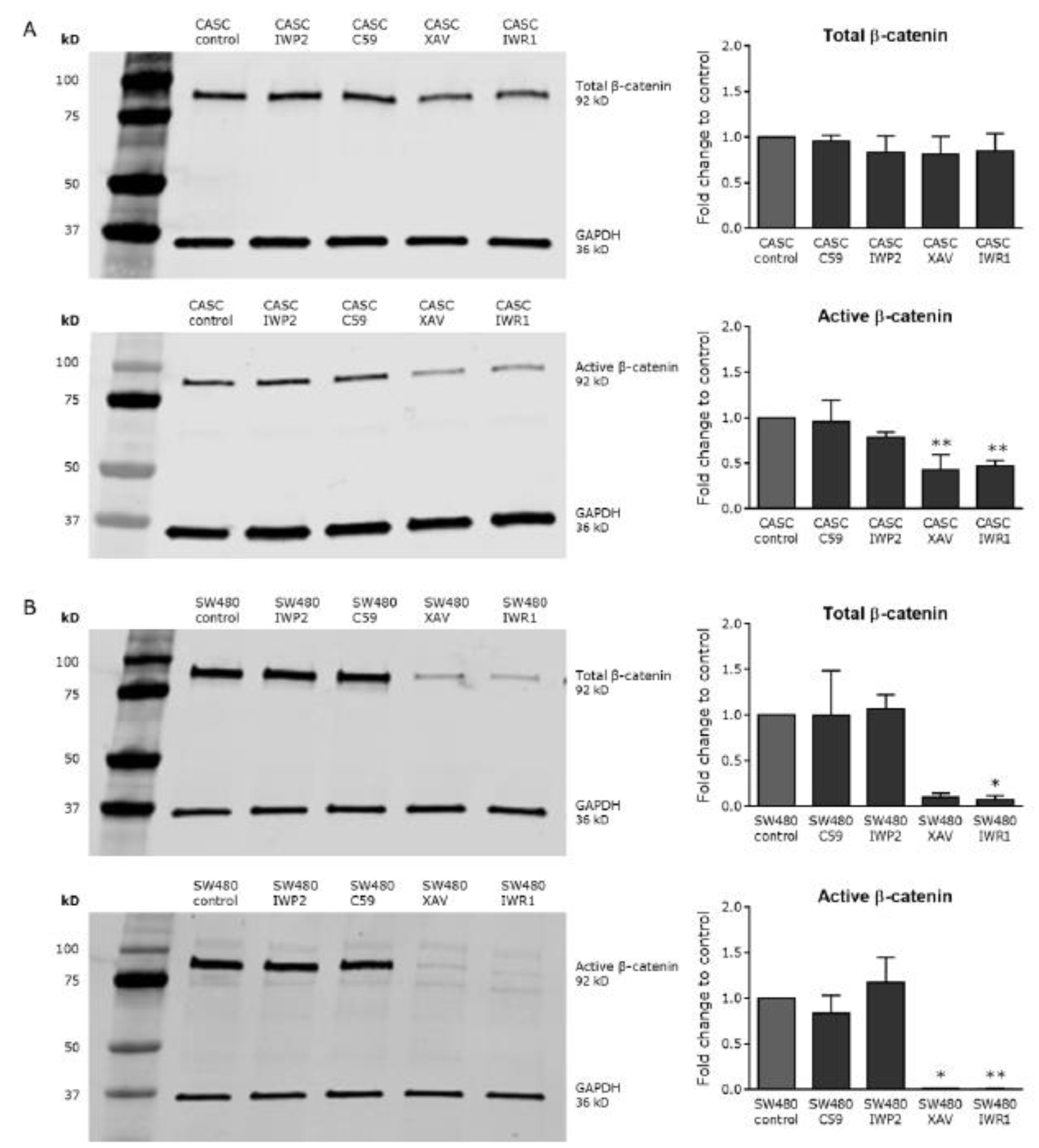 Ijms 21 03931 g005 Ijms 21 03931 g005
