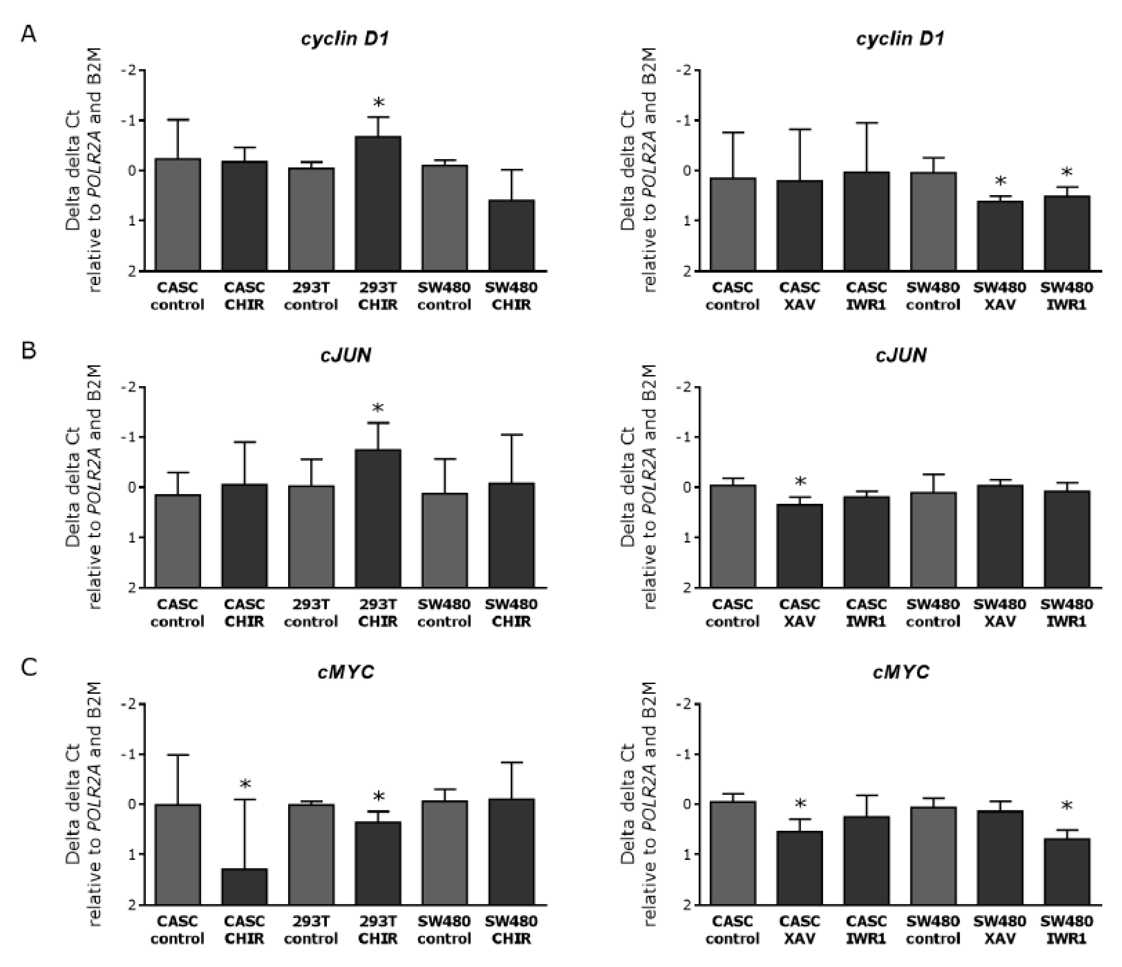 Ijms 21 03931 g007 Ijms 21 03931 g007