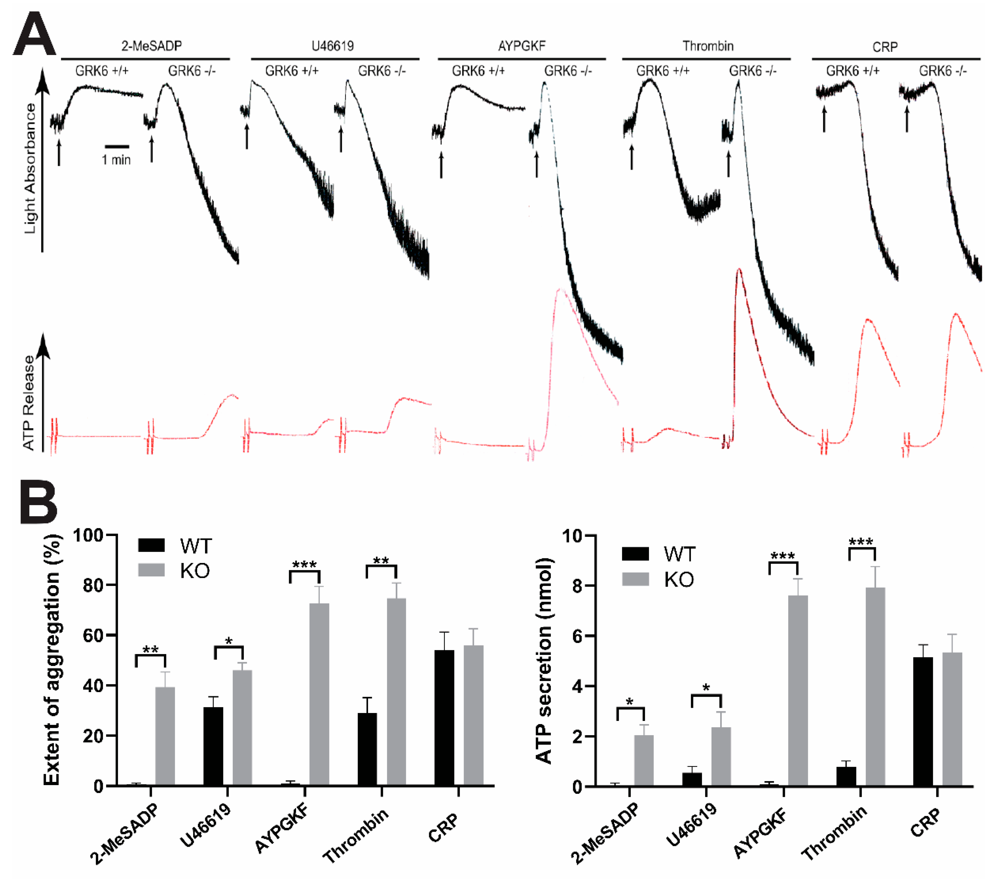Ijms 21 03932 g001 Ijms 21 03932 g001