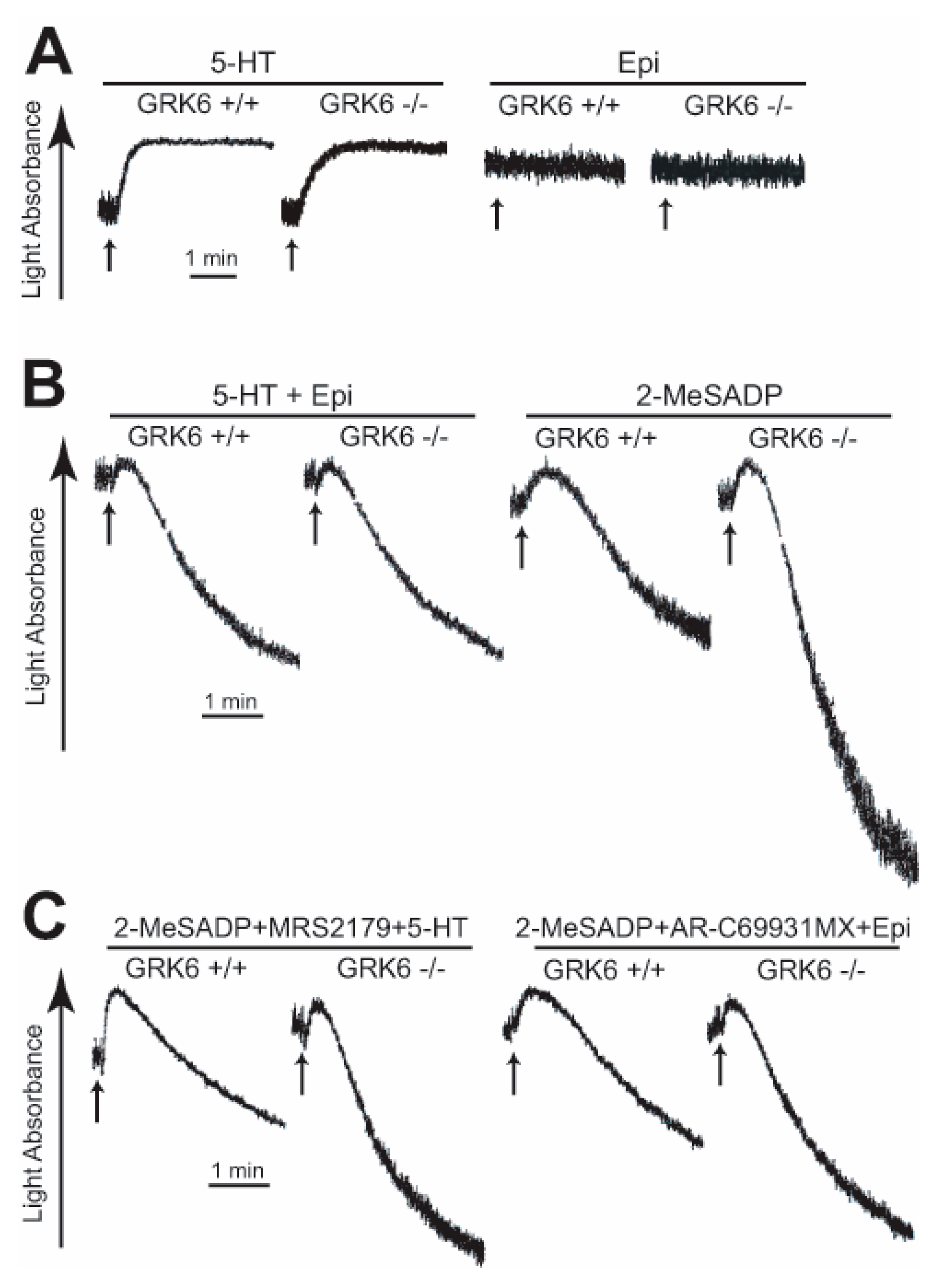 Ijms 21 03932 g003 Ijms 21 03932 g003